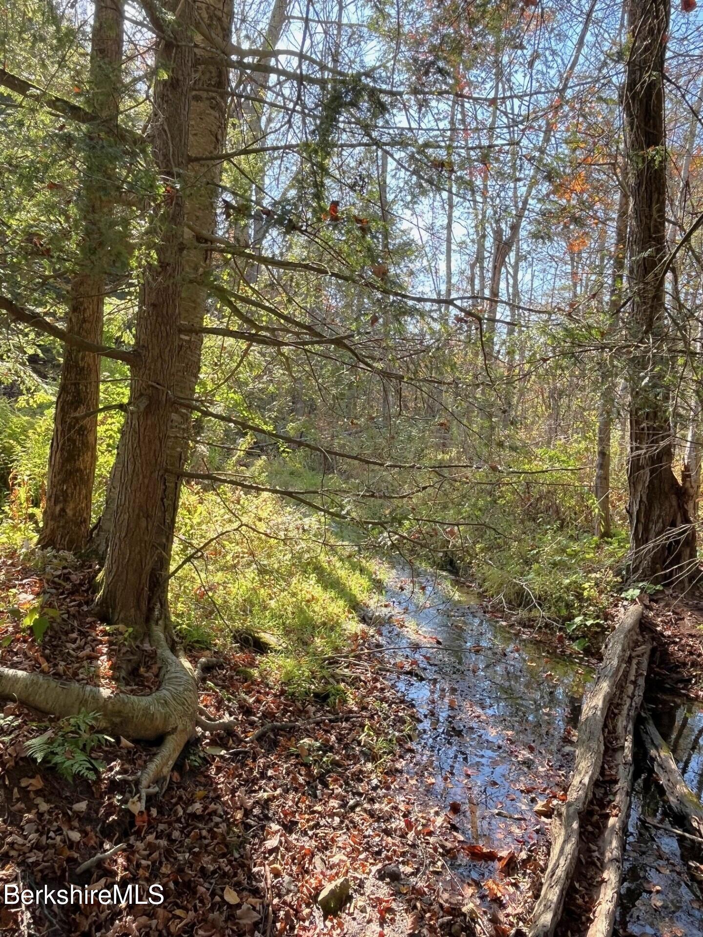 1020 Cascade Street Pittsfield, MA 01201 - Photo 64 of 75 StreamA