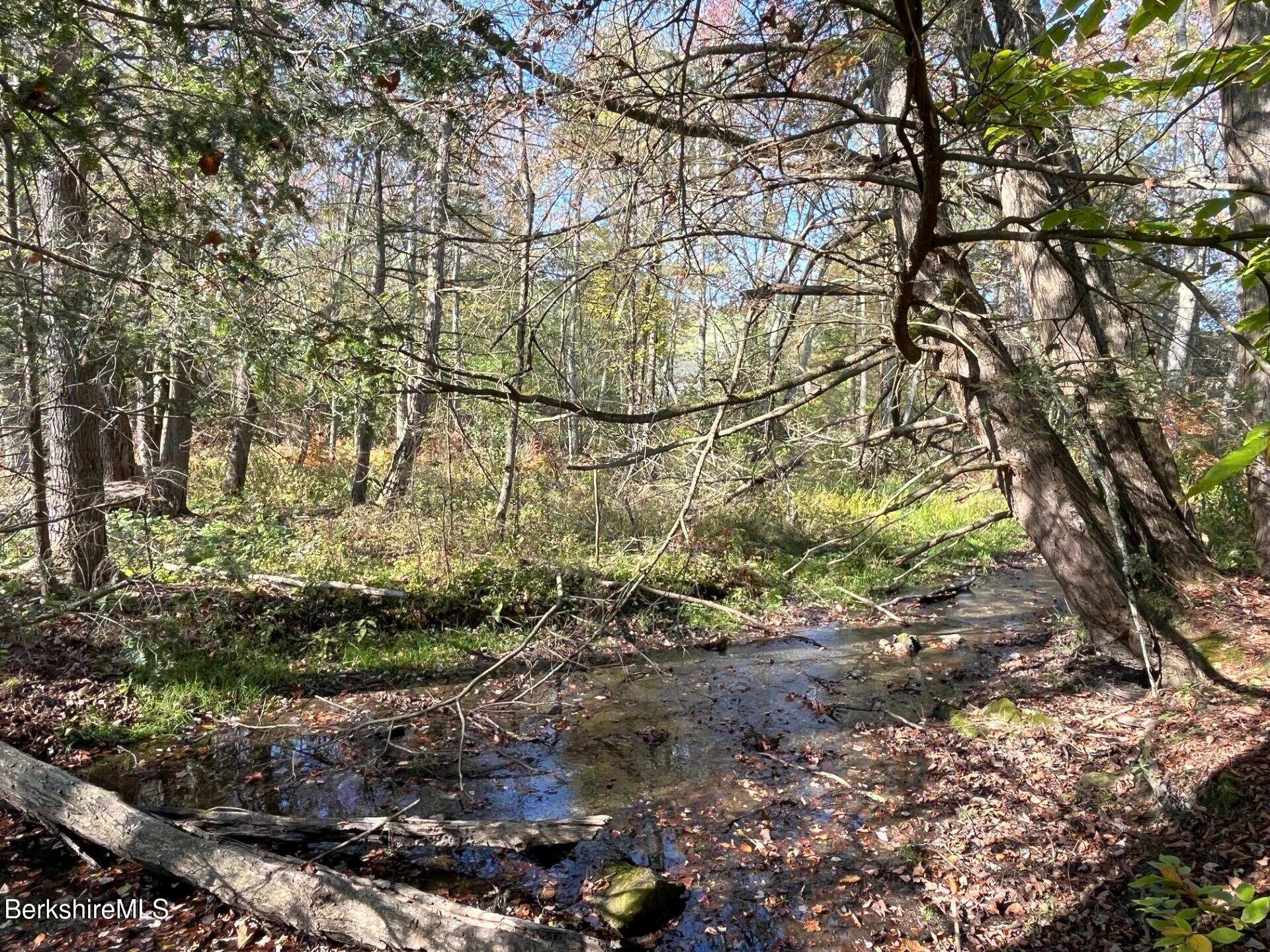 1020 Cascade Street Pittsfield, MA 01201 - Photo 65 of 75 StreamB