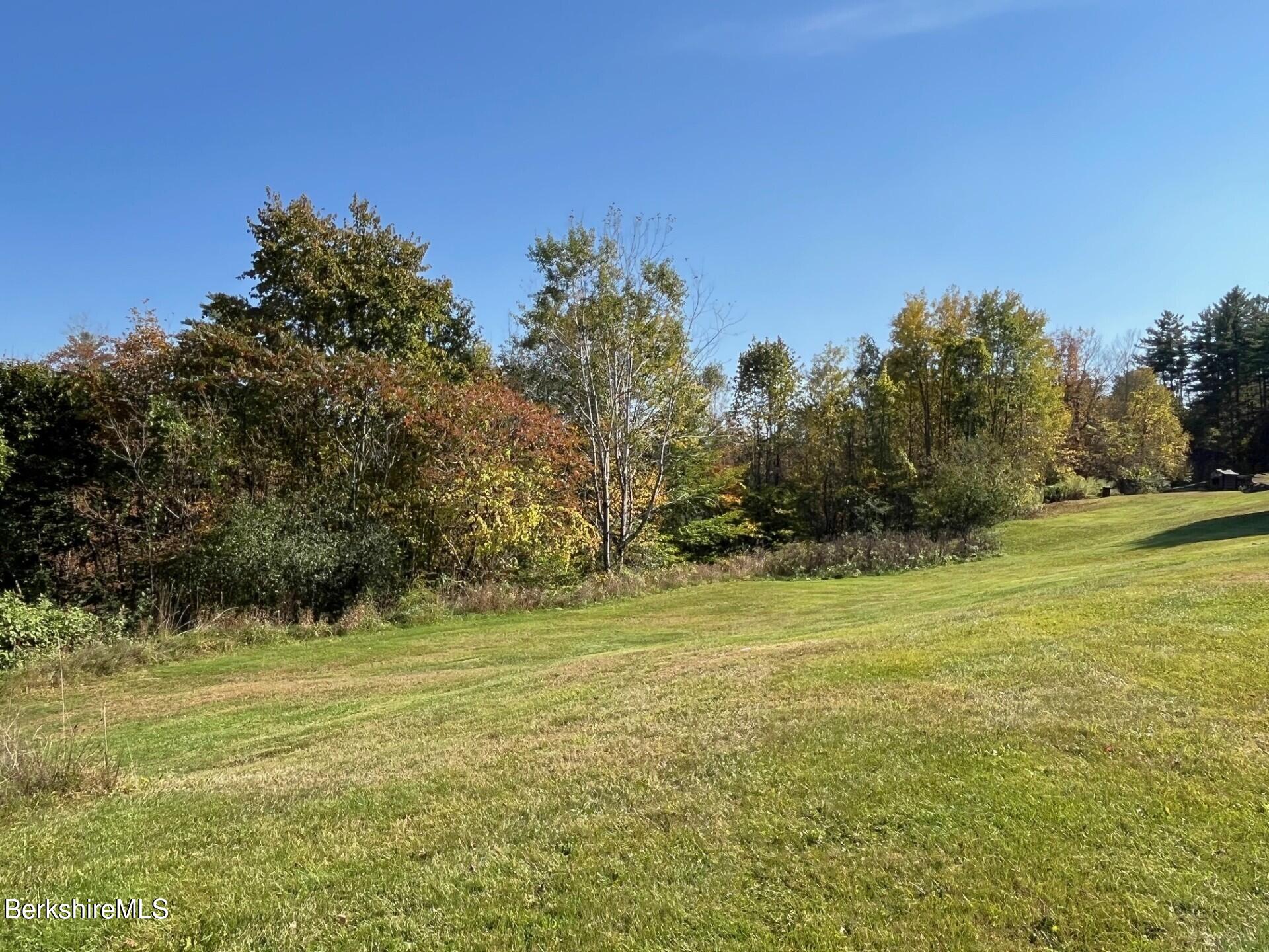 1020 Cascade Street Pittsfield, MA 01201 - Photo 68 of 75 a view of a field with an trees in the background