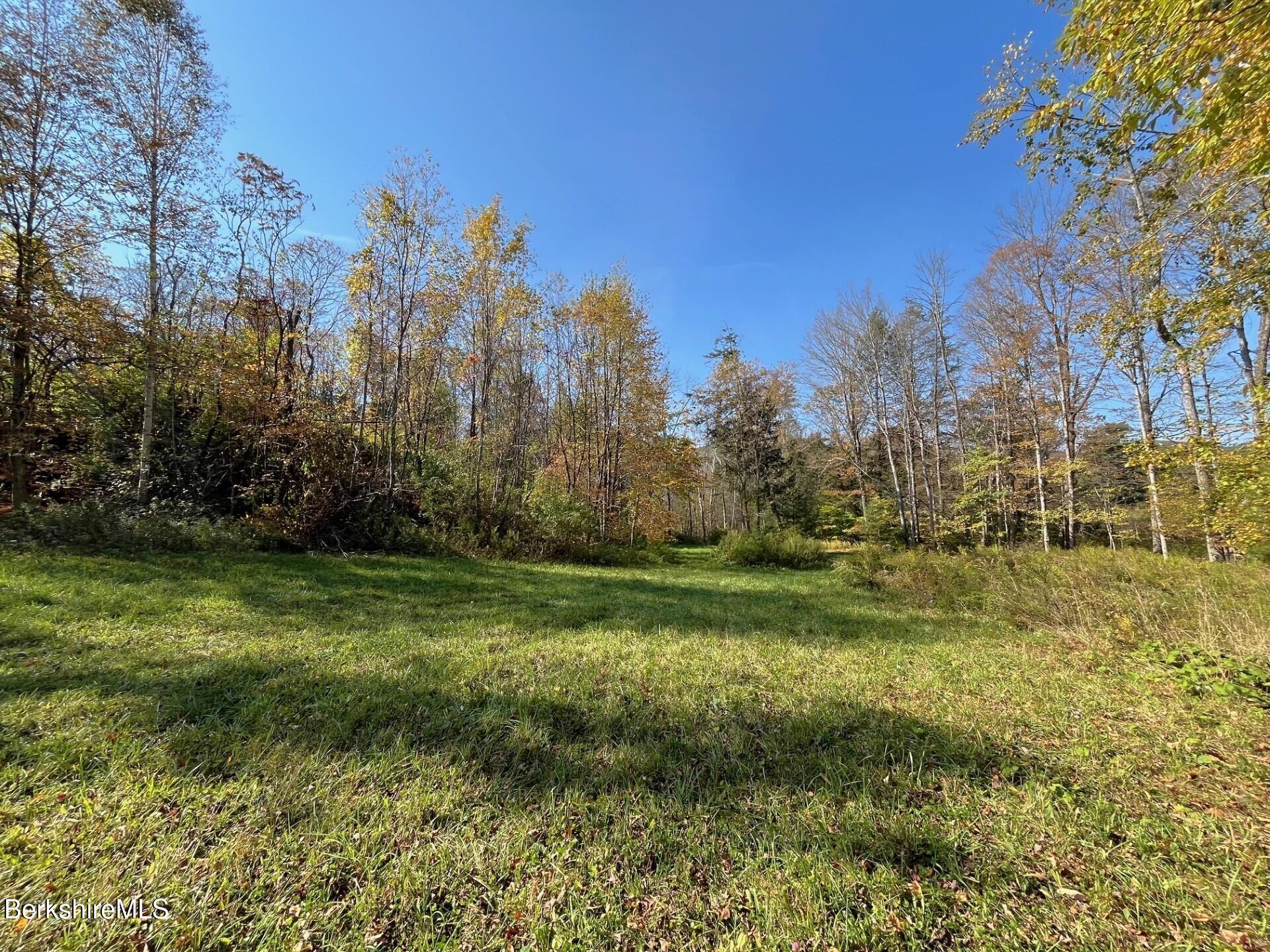 1020 Cascade Street Pittsfield, MA 01201 - Photo 71 of 75 a view of a field with a tree