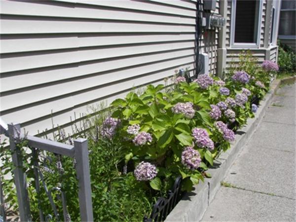 6 Branch Street Fall River, MA 02721 - Photo 2 of 4