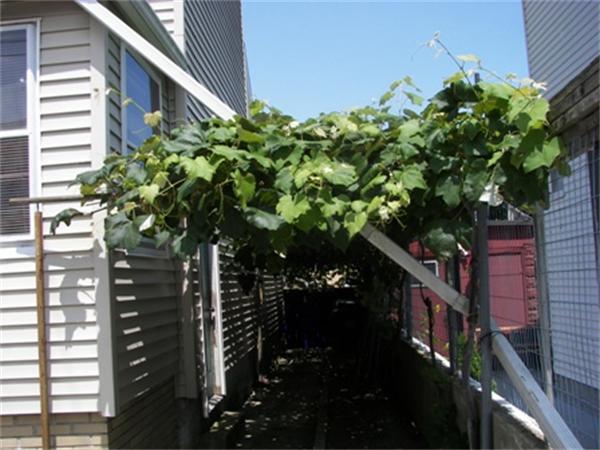 6 Branch Street Fall River, MA 02721 - Photo 3 of 4