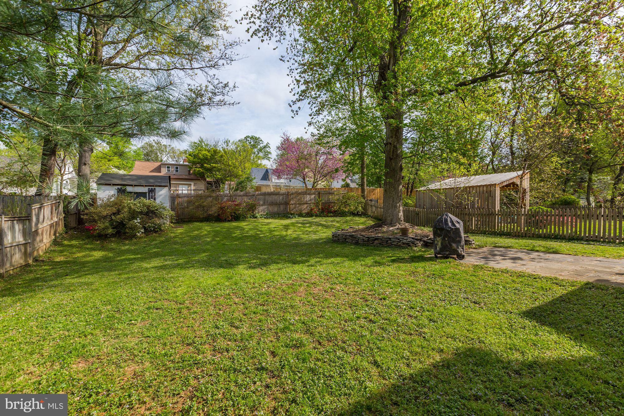 1105 Dryden Street Silver Spring, MD 20901 - Photo 45 of 48 Nice, spacious, green backyard!