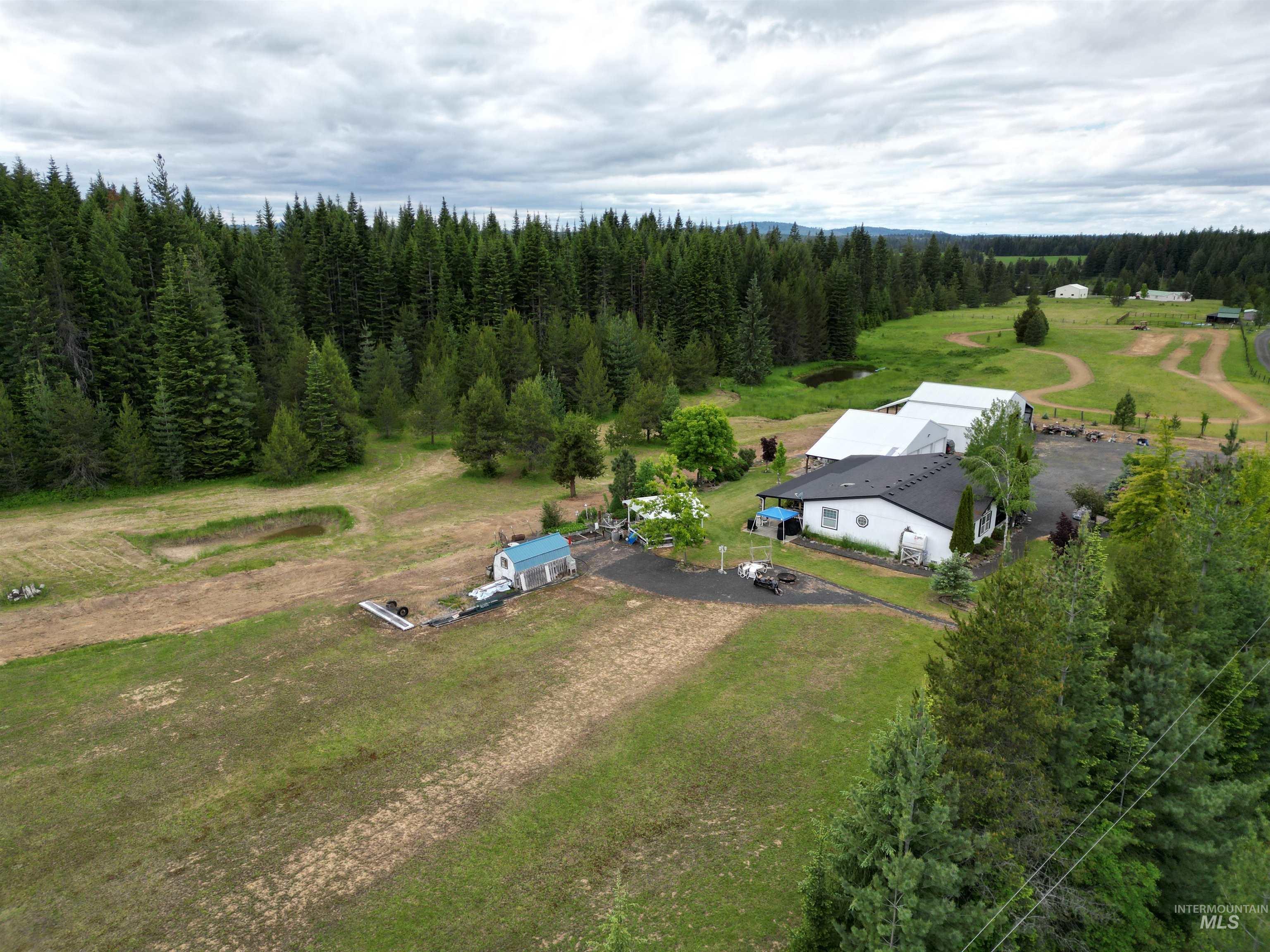 254 Lackey Road Weippe, ID 83553 - Photo 4 of 38 Expansive property featuring a white single-story residence with a dark roof, a large outbuilding with a white roof, a smaller structure with a blue roof, mature evergreen trees bordering the grounds, and a visible pond