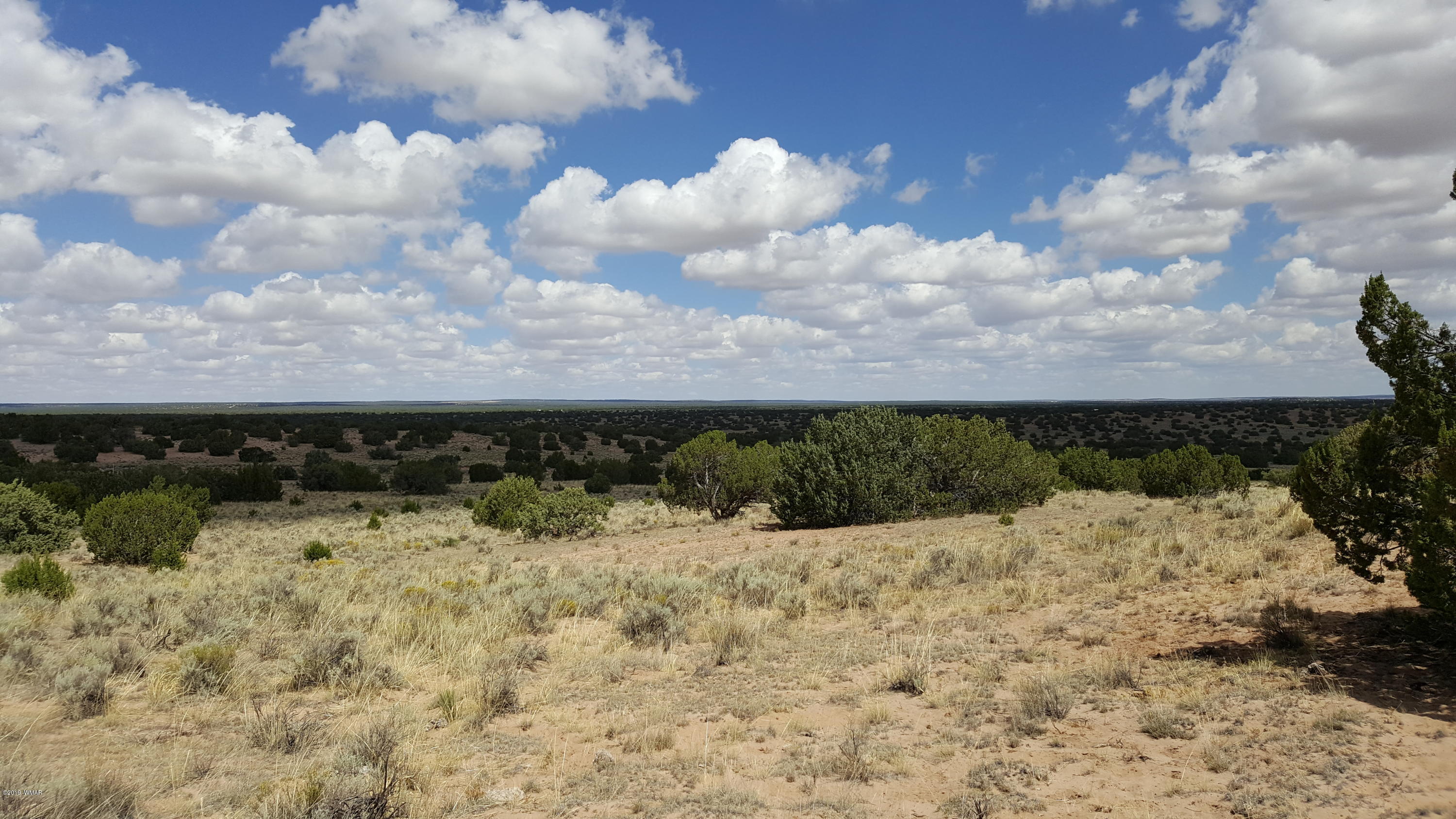 Lot 289 Red Sky Ranch St. Johns, AZ 85936 - Photo 11 of 12