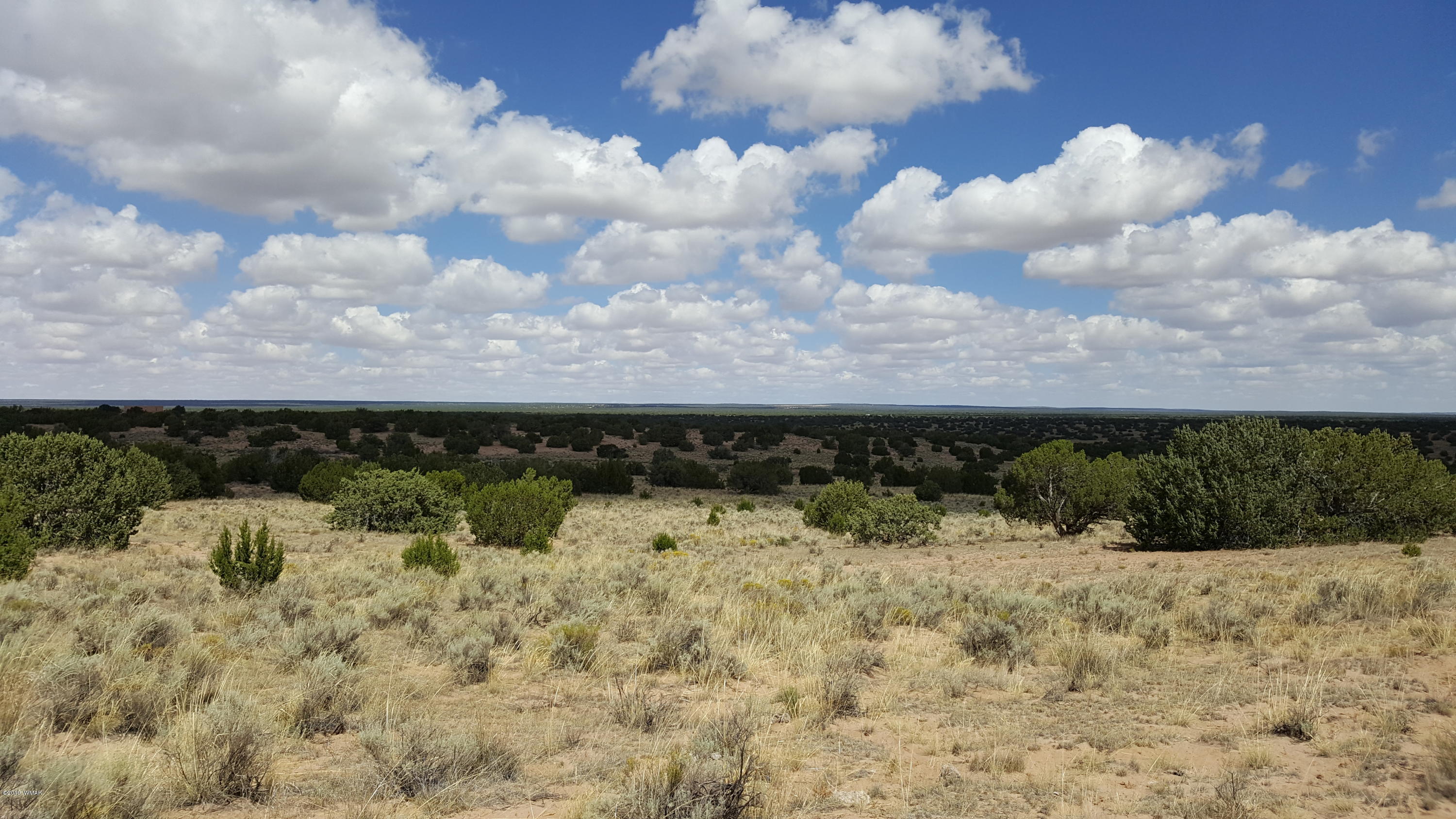 Lot 289 Red Sky Ranch St. Johns, AZ 85936 - Photo 12 of 12