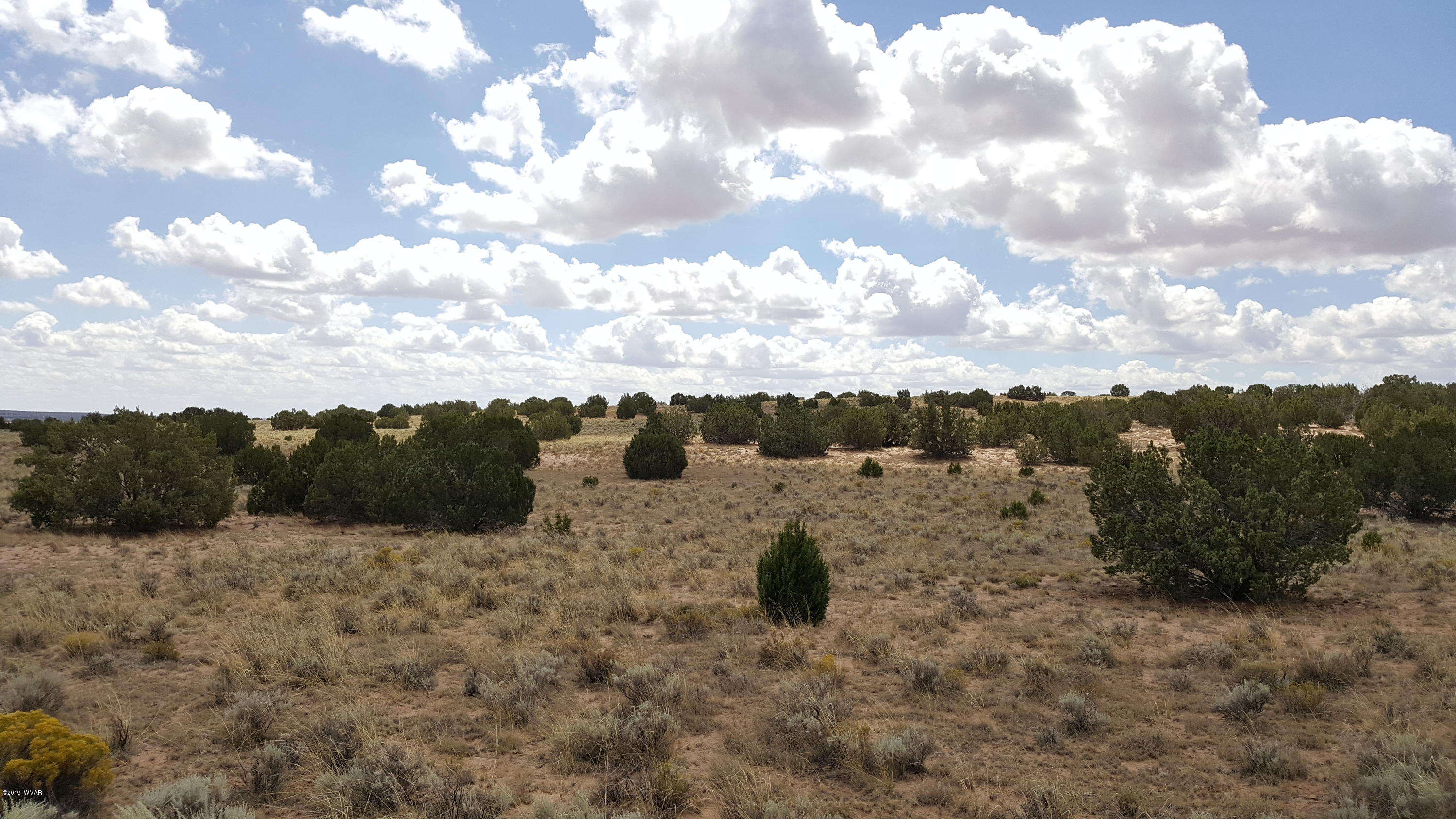 Lot 289 Red Sky Ranch St. Johns, AZ 85936 - Photo 2 of 12