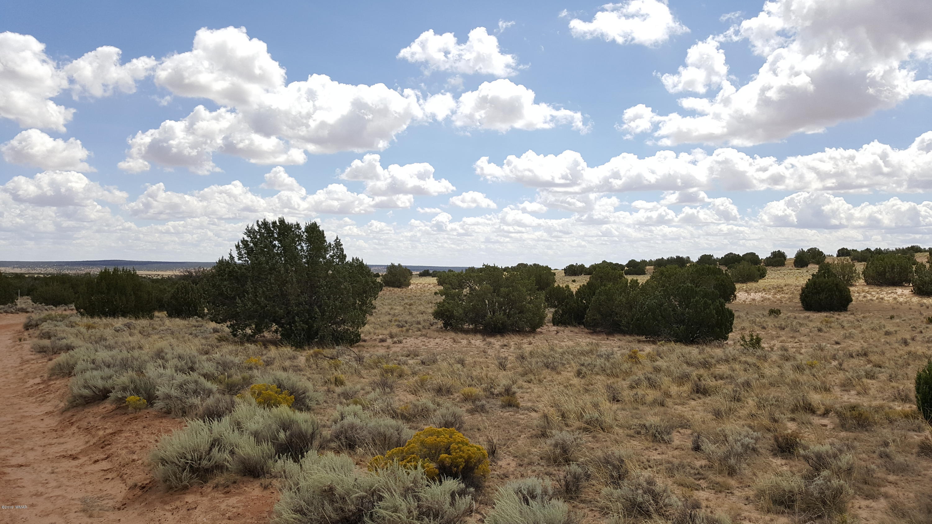 Lot 289 Red Sky Ranch St. Johns, AZ 85936 - Photo 3 of 12