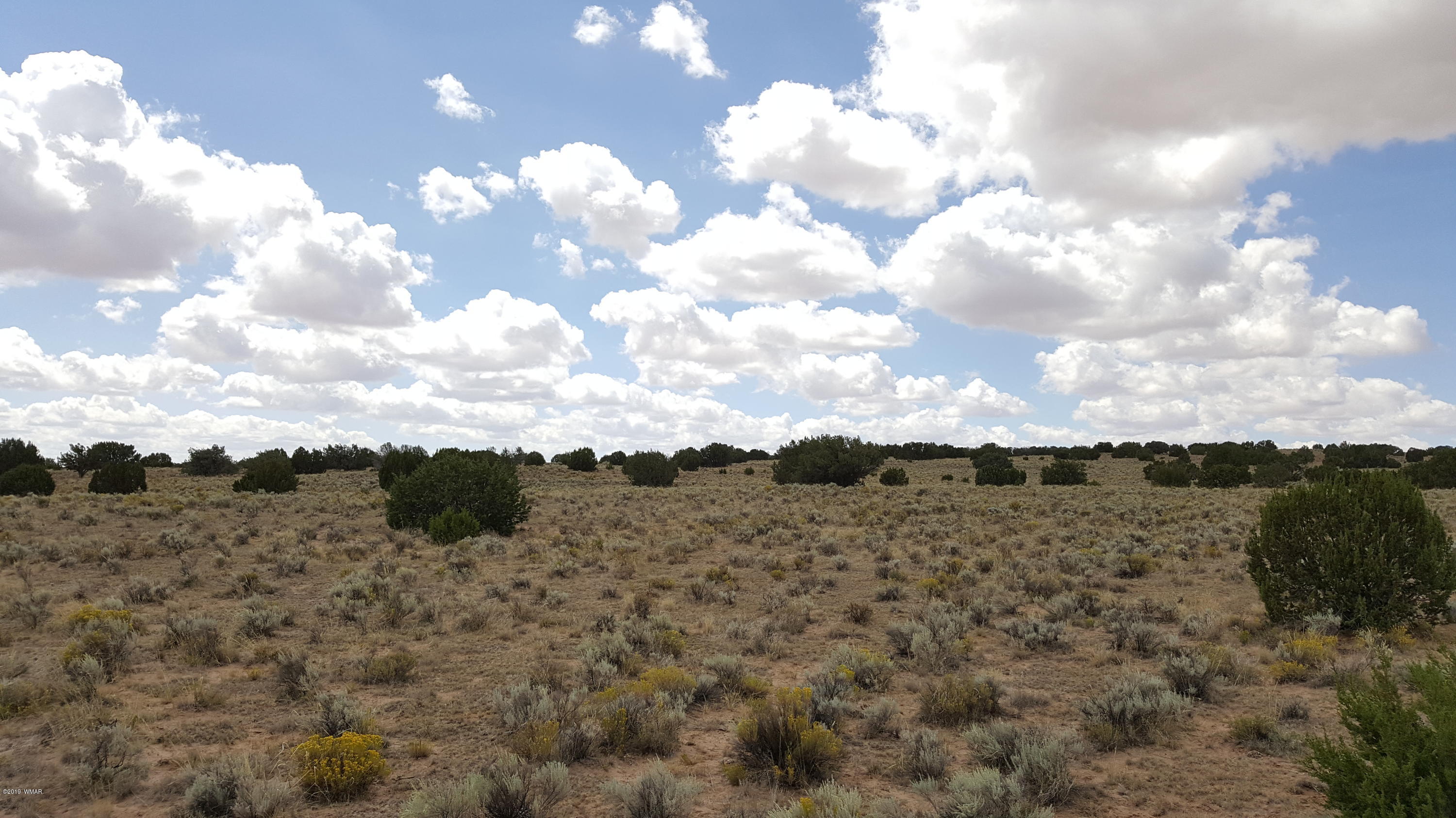 Lot 289 Red Sky Ranch St. Johns, AZ 85936 - Photo 4 of 12