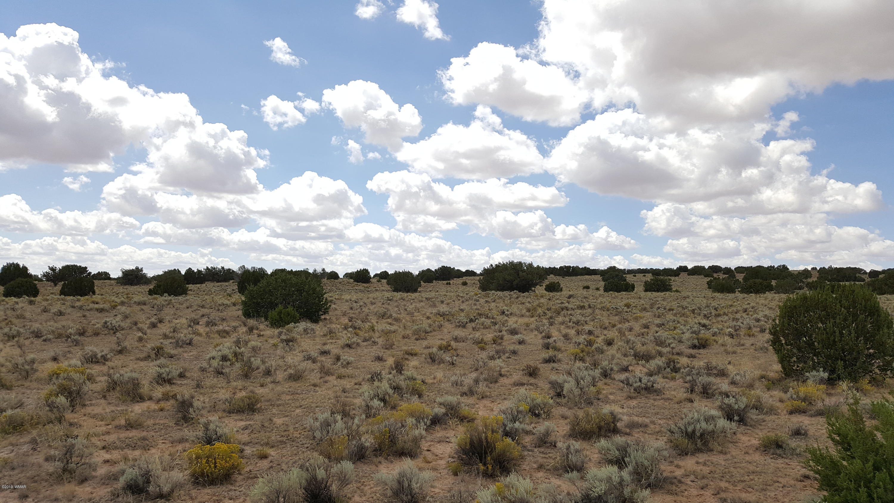 Lot 289 Red Sky Ranch St. Johns, AZ 85936 - Photo 5 of 12