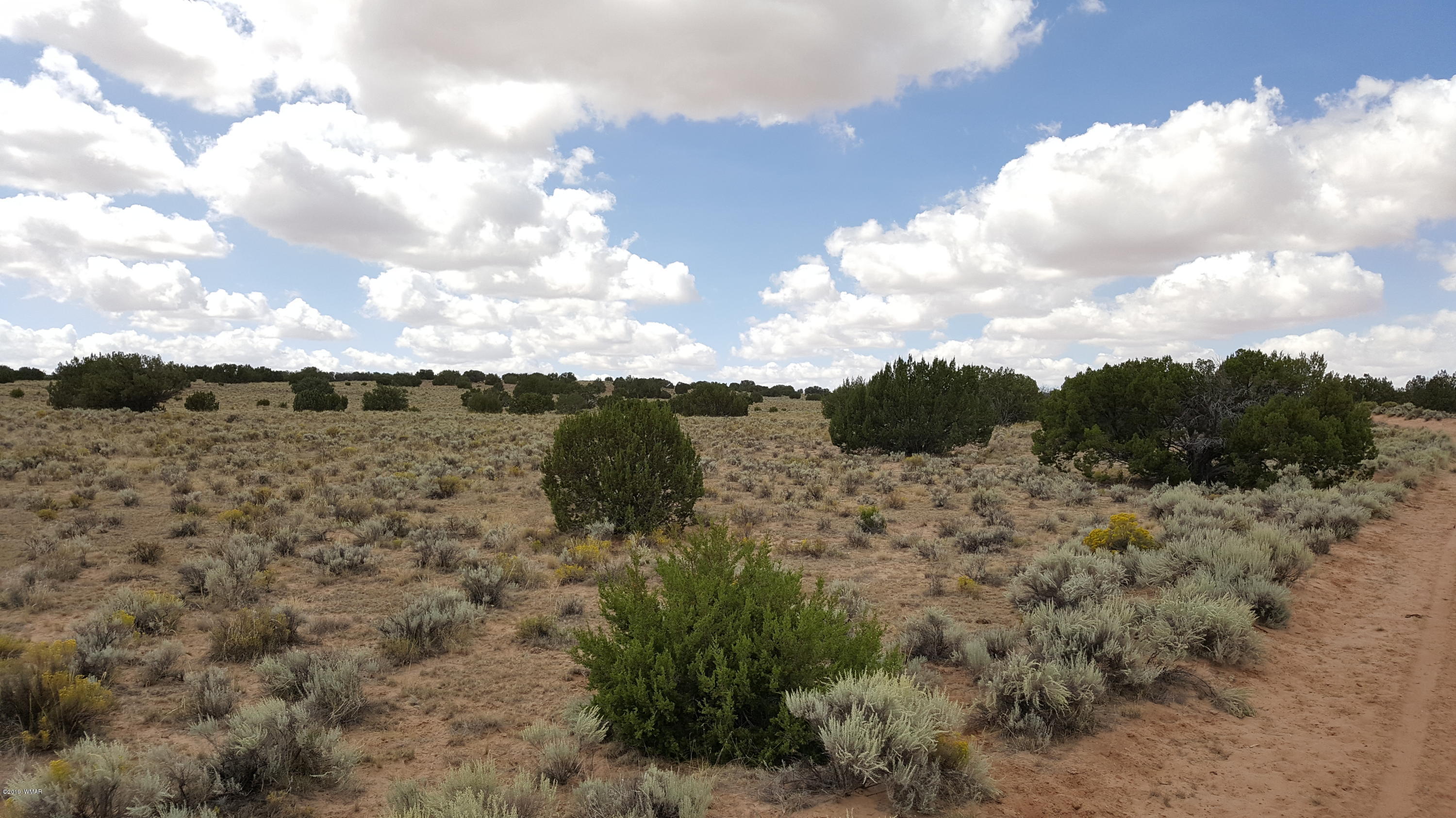 Lot 289 Red Sky Ranch St. Johns, AZ 85936 - Photo 6 of 12