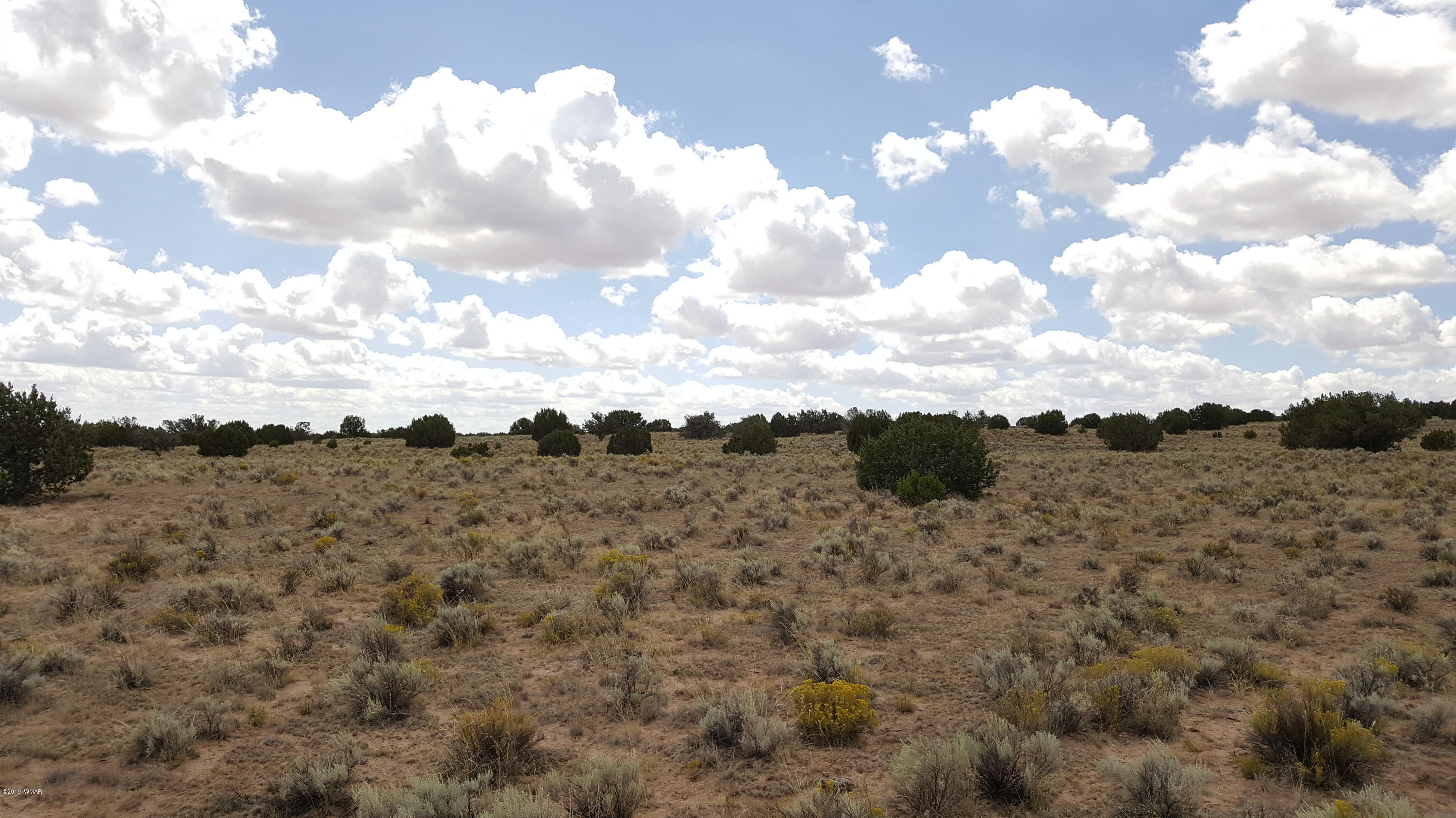 Lot 289 Red Sky Ranch St. Johns, AZ 85936 - Photo 8 of 12
