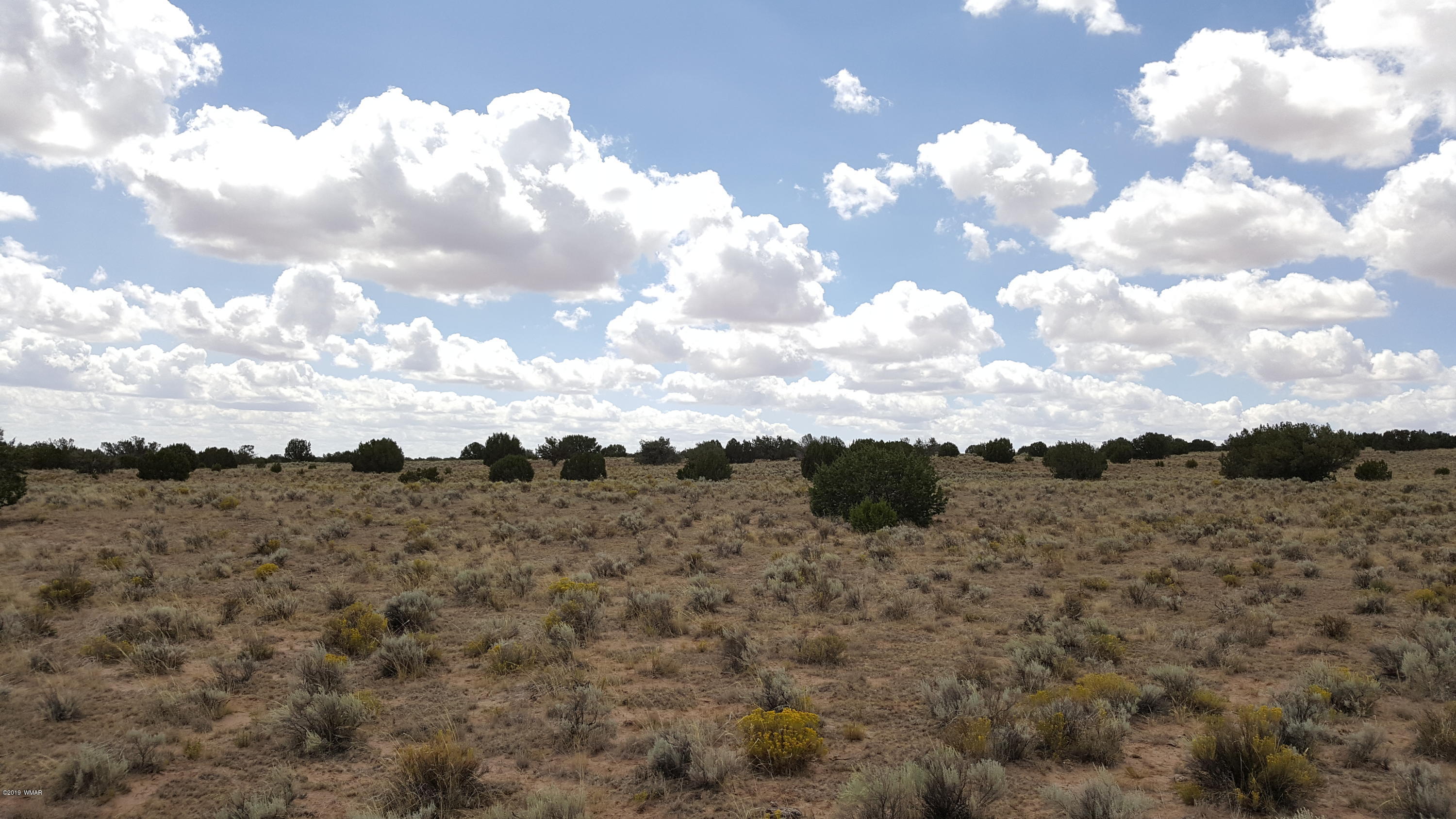Lot 289 Red Sky Ranch St. Johns, AZ 85936 - Photo 9 of 12