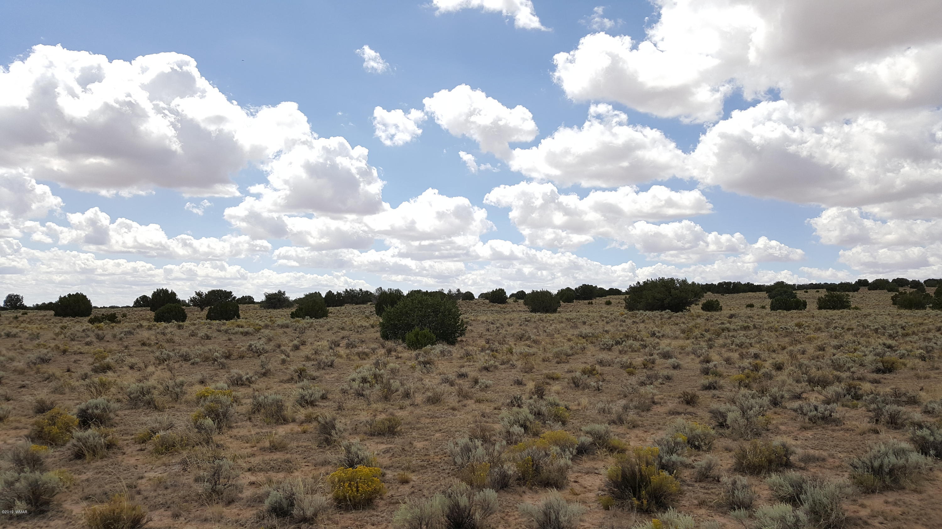 Lot 289 Red Sky Ranch St. Johns, AZ 85936 - Photo 10 of 12