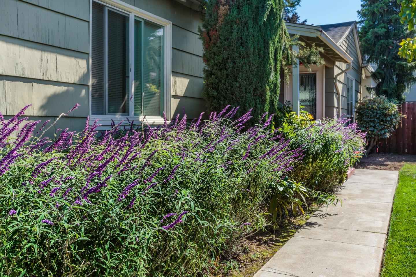 527 Rollins Road Burlingame, CA 94010 - Photo 3 of 18 Gallery Image 3