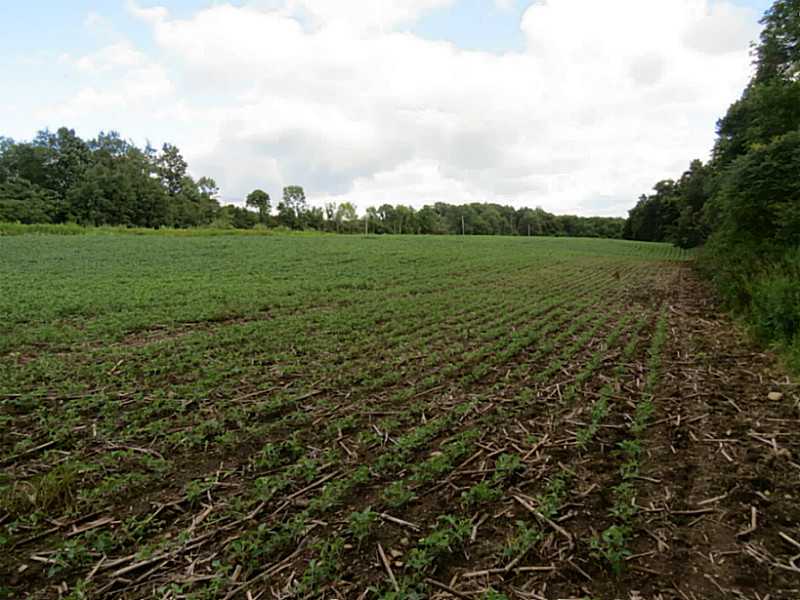 Donation Road Waterford, PA 16441 - Photo 2 of 12 Exterior Front. Soy bean field