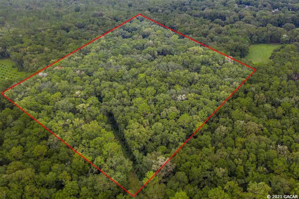 Tbd Southwest Tbd Sw 103rd Street Gainesville, FL 32608 - Photo 1 of 1