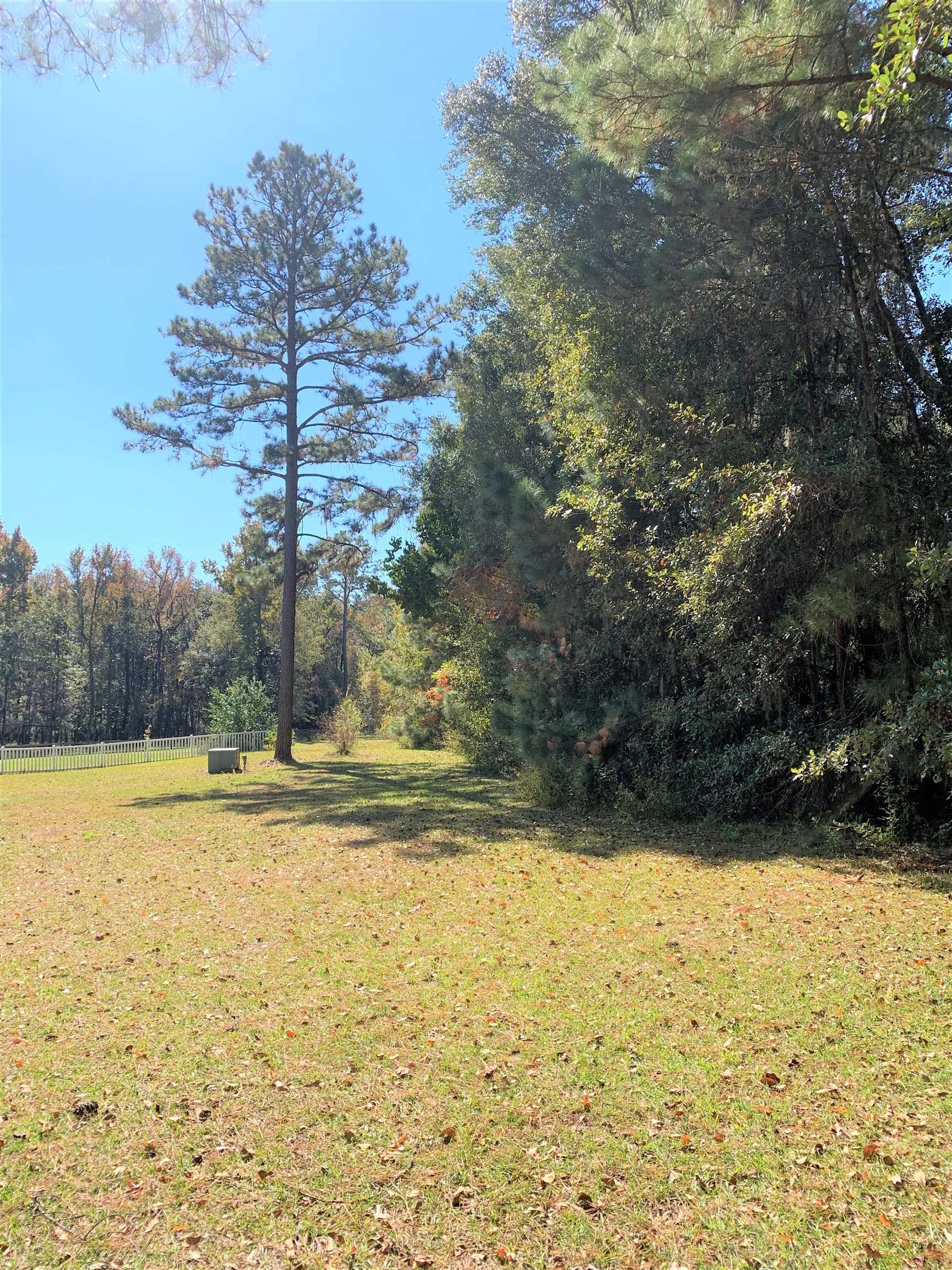 Xx White House Road Monticello, FL 32344 - Photo 11 of 24 Gallery Image 11