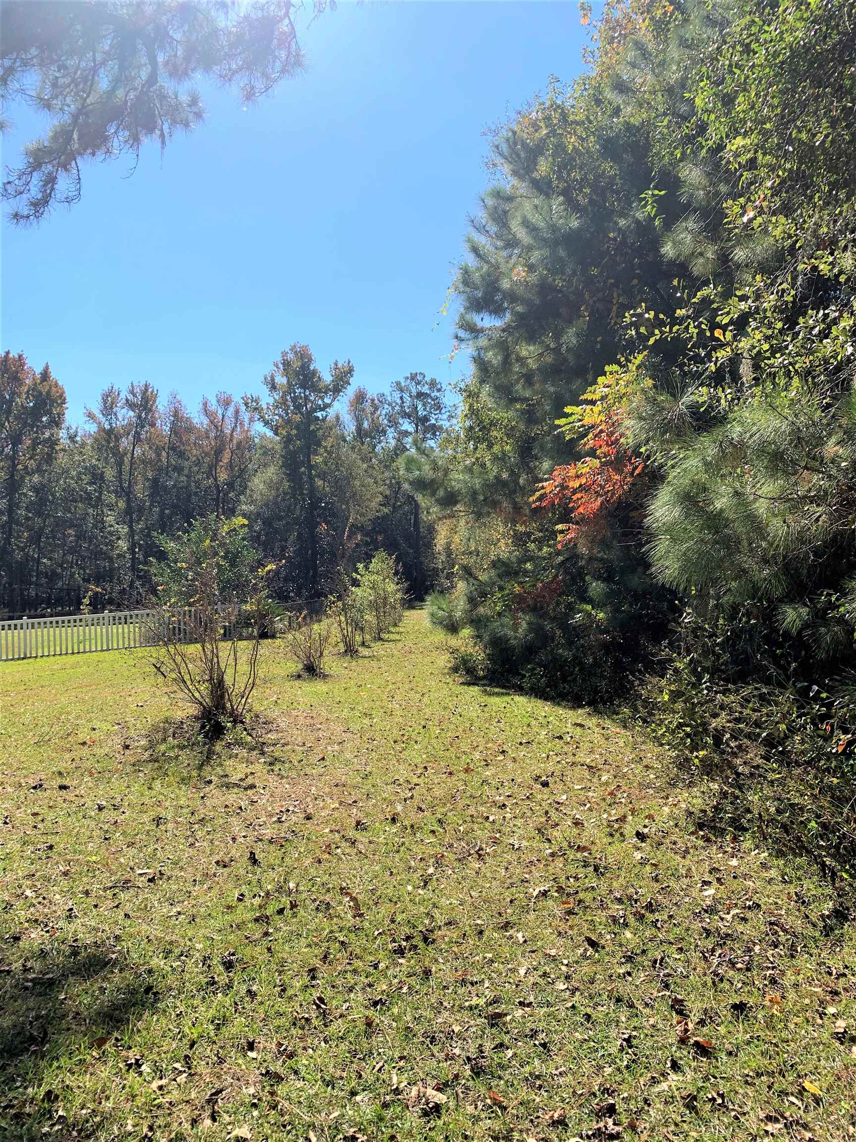 Xx White House Road Monticello, FL 32344 - Photo 12 of 24 Gallery Image 12
