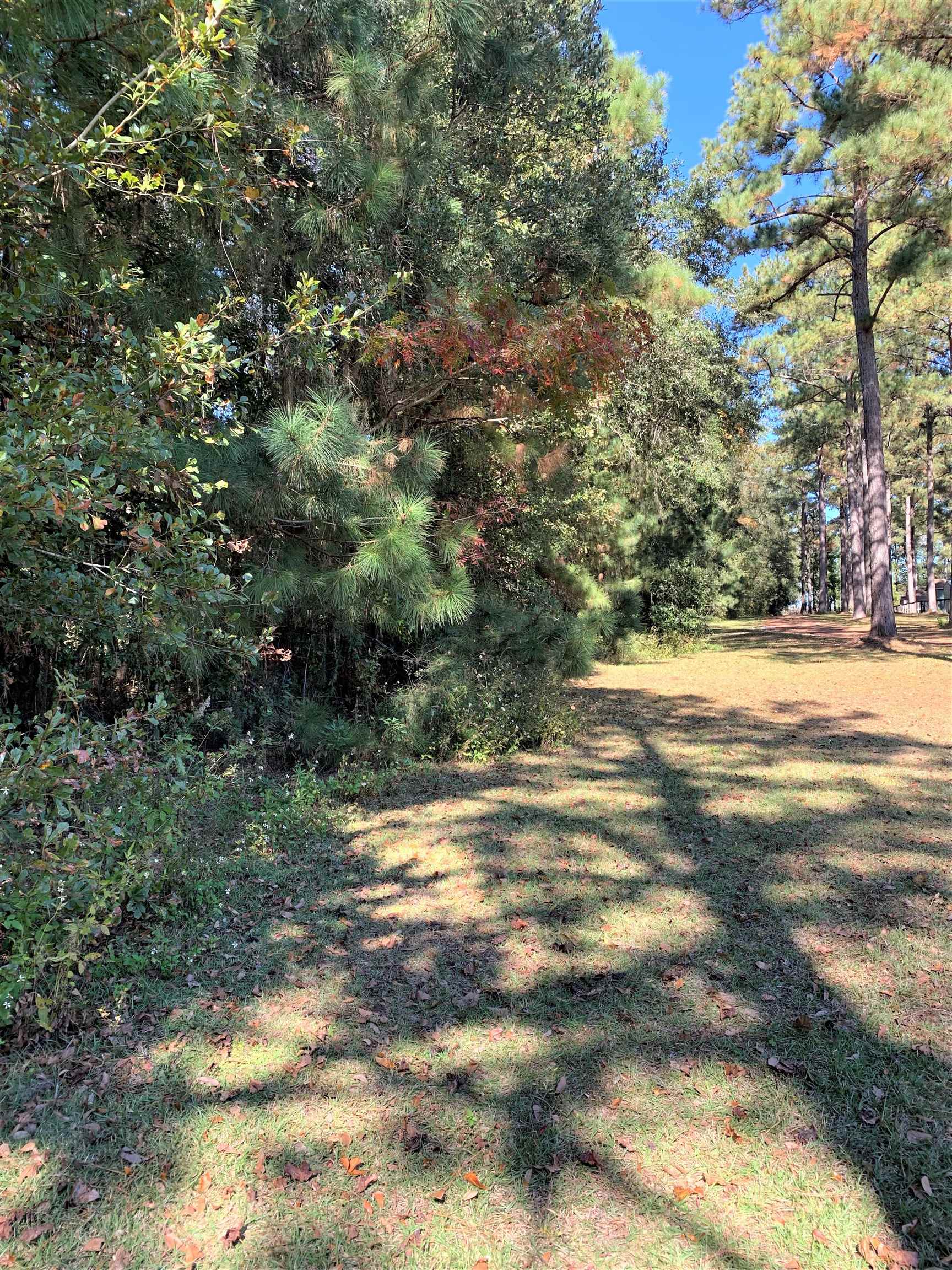 Xx White House Road Monticello, FL 32344 - Photo 13 of 24 Gallery Image 13