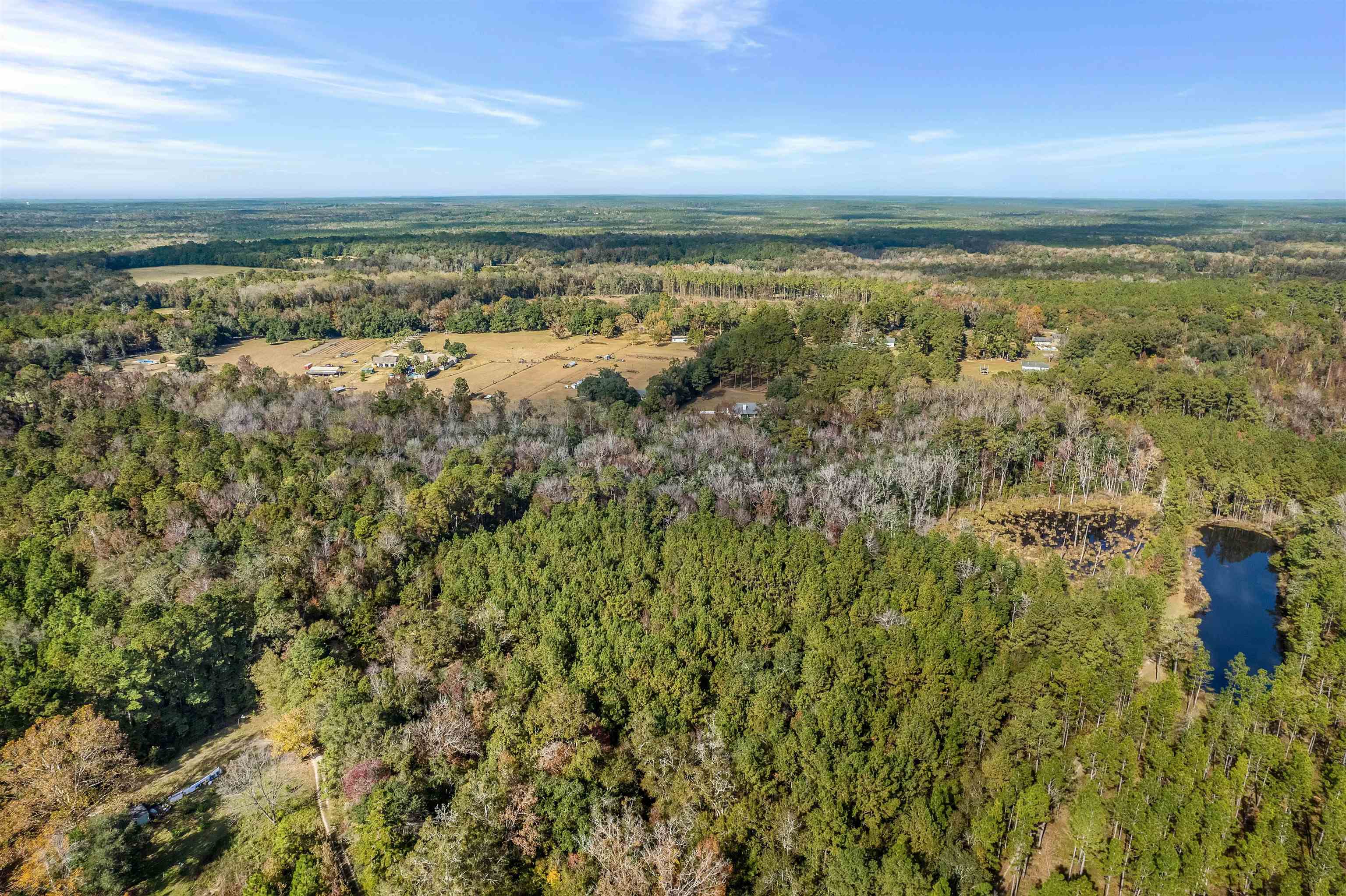 Xx White House Road Monticello, FL 32344 - Photo 14 of 24 Gallery Image 14