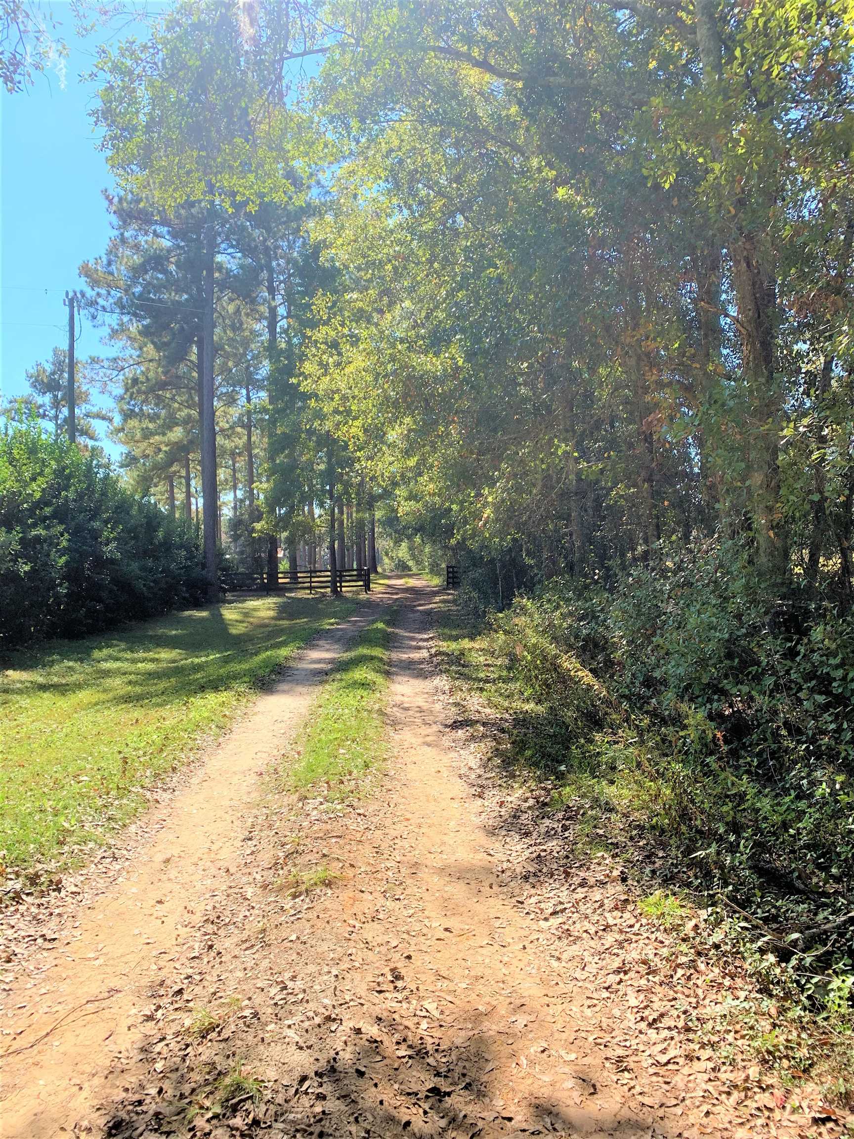 Xx White House Road Monticello, FL 32344 - Photo 15 of 24 Gallery Image 15