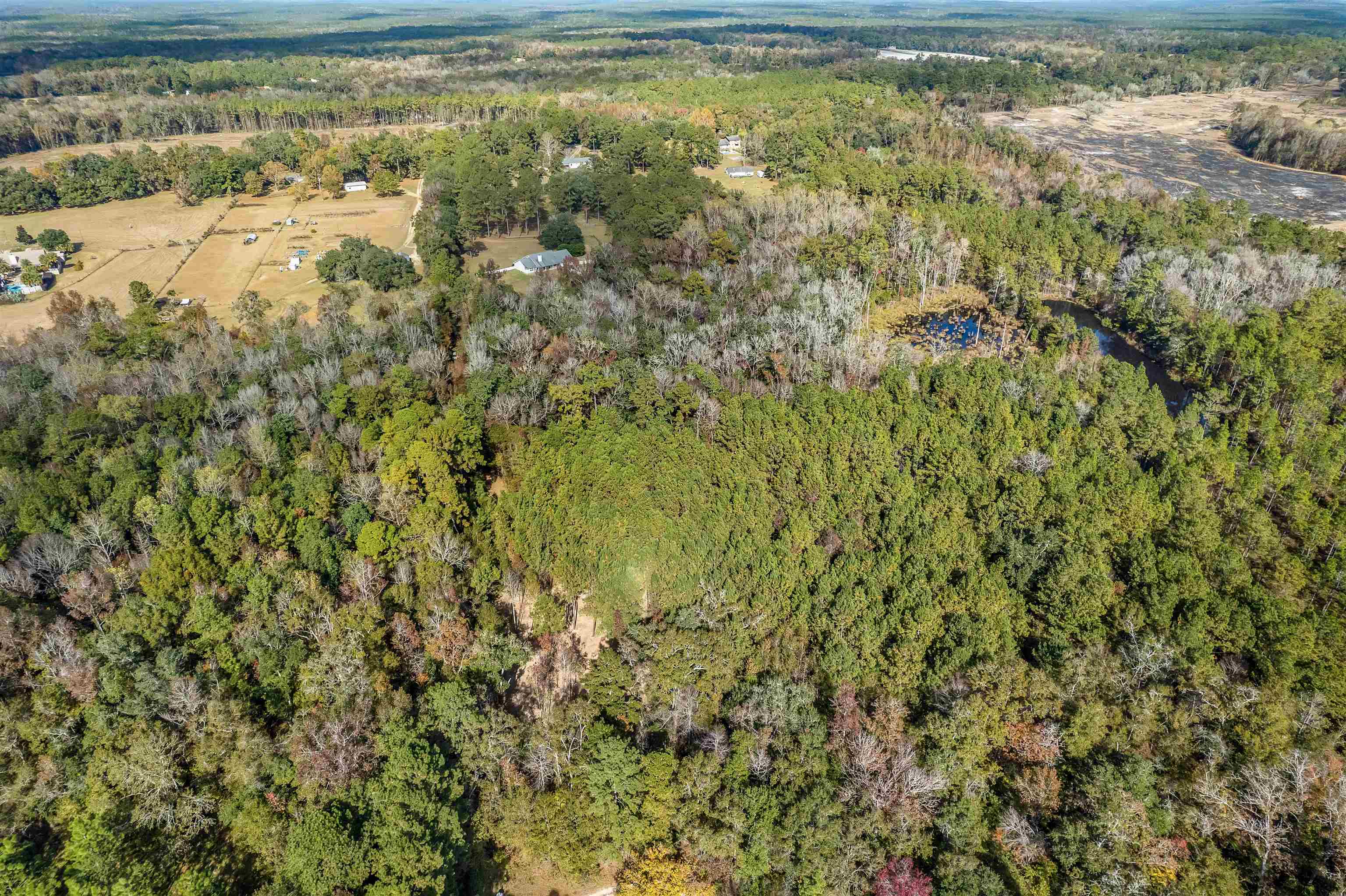 Xx White House Road Monticello, FL 32344 - Photo 16 of 24 Gallery Image 16