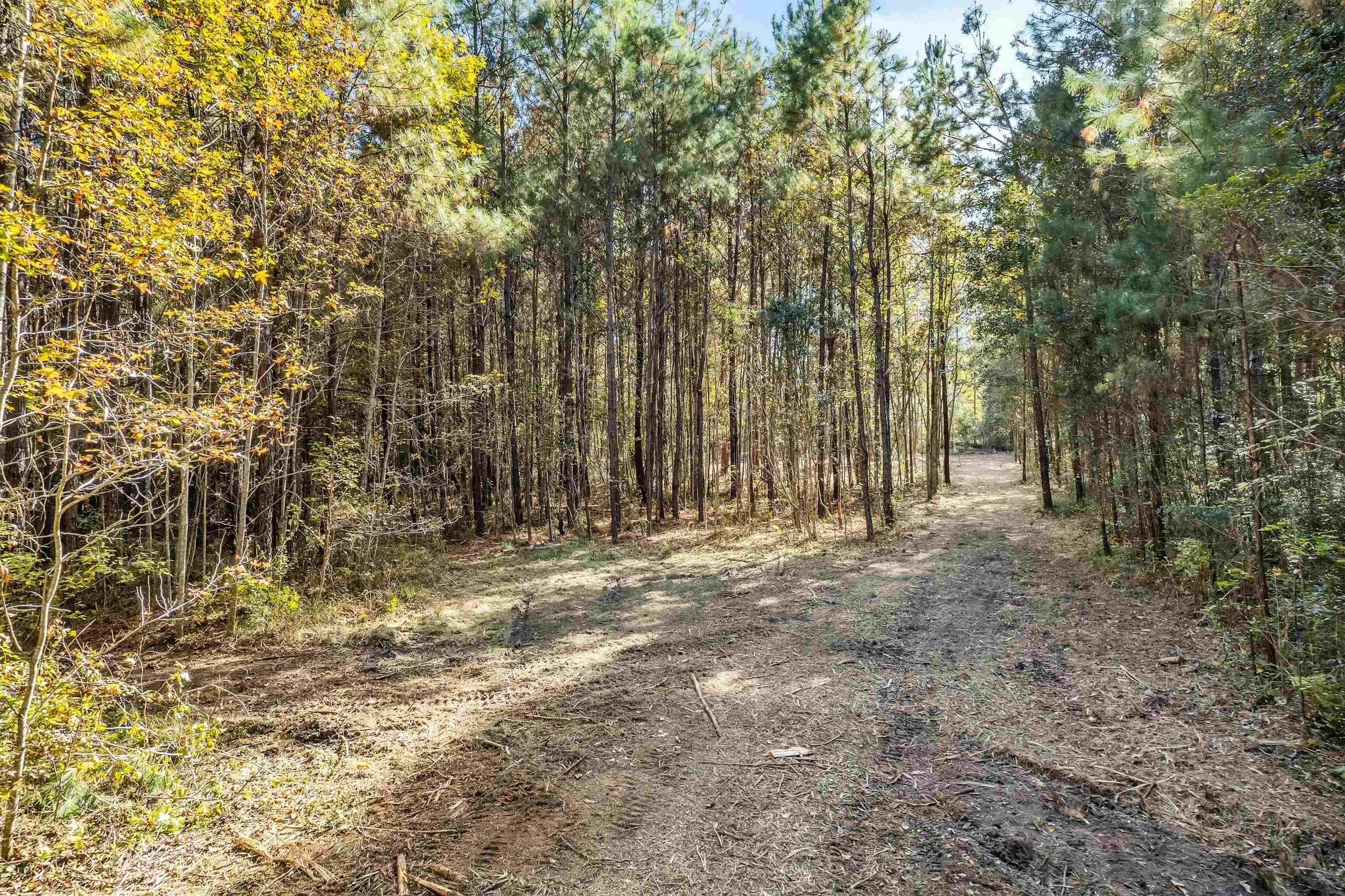 Xx White House Road Monticello, FL 32344 - Photo 17 of 24 Gallery Image 17