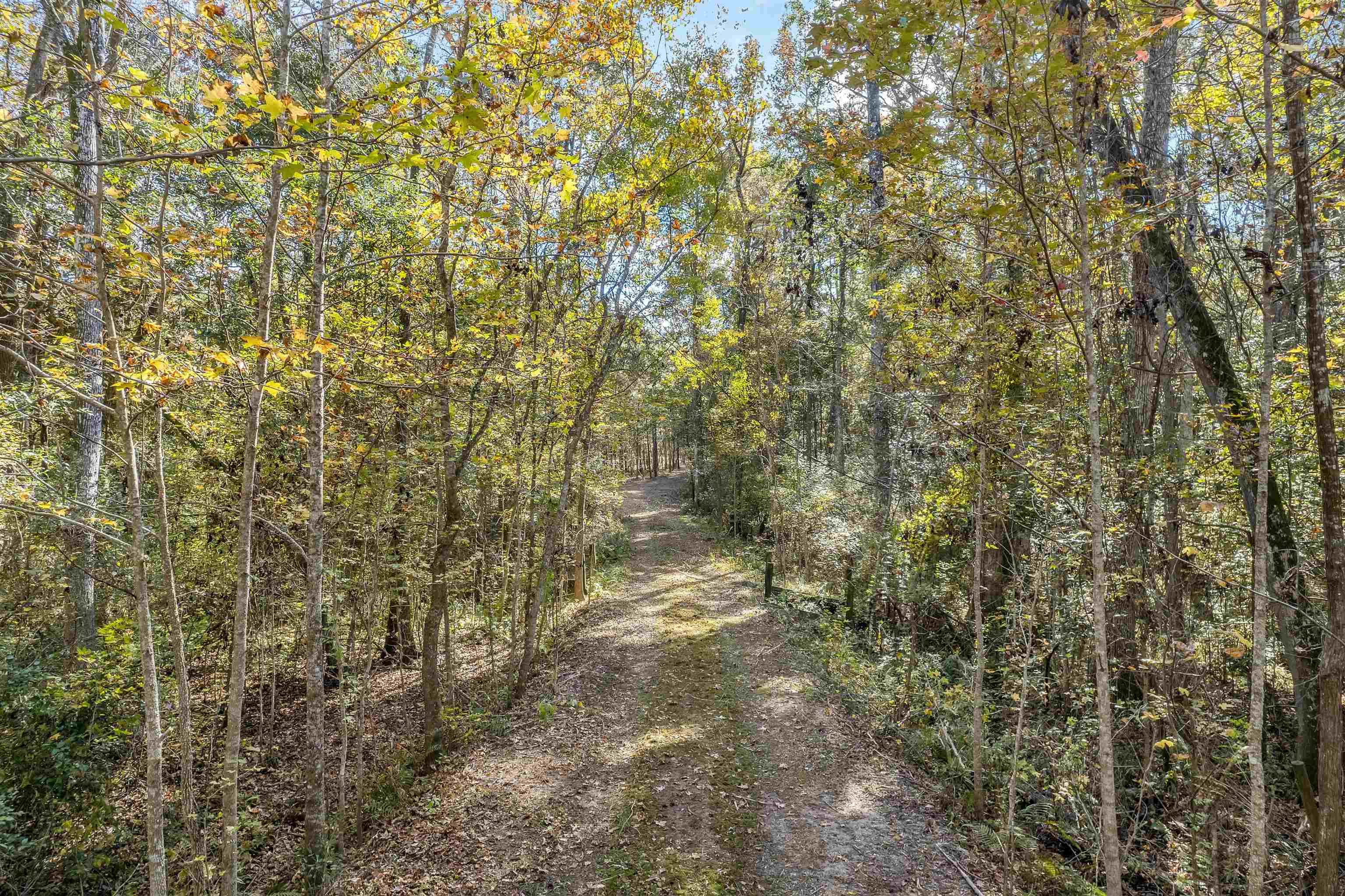Xx White House Road Monticello, FL 32344 - Photo 19 of 24 Gallery Image 19