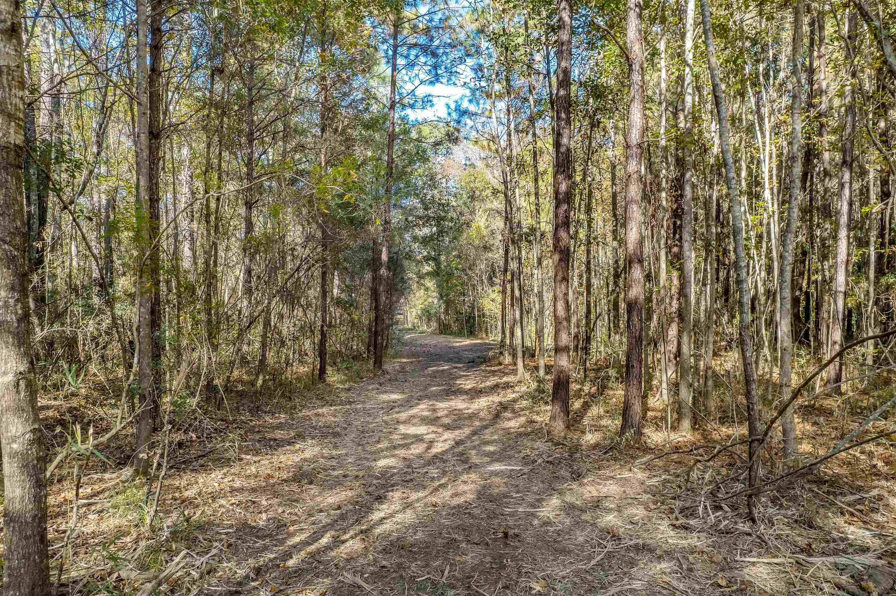 Xx White House Road Monticello, FL 32344 - Photo 20 of 24 Gallery Image 20