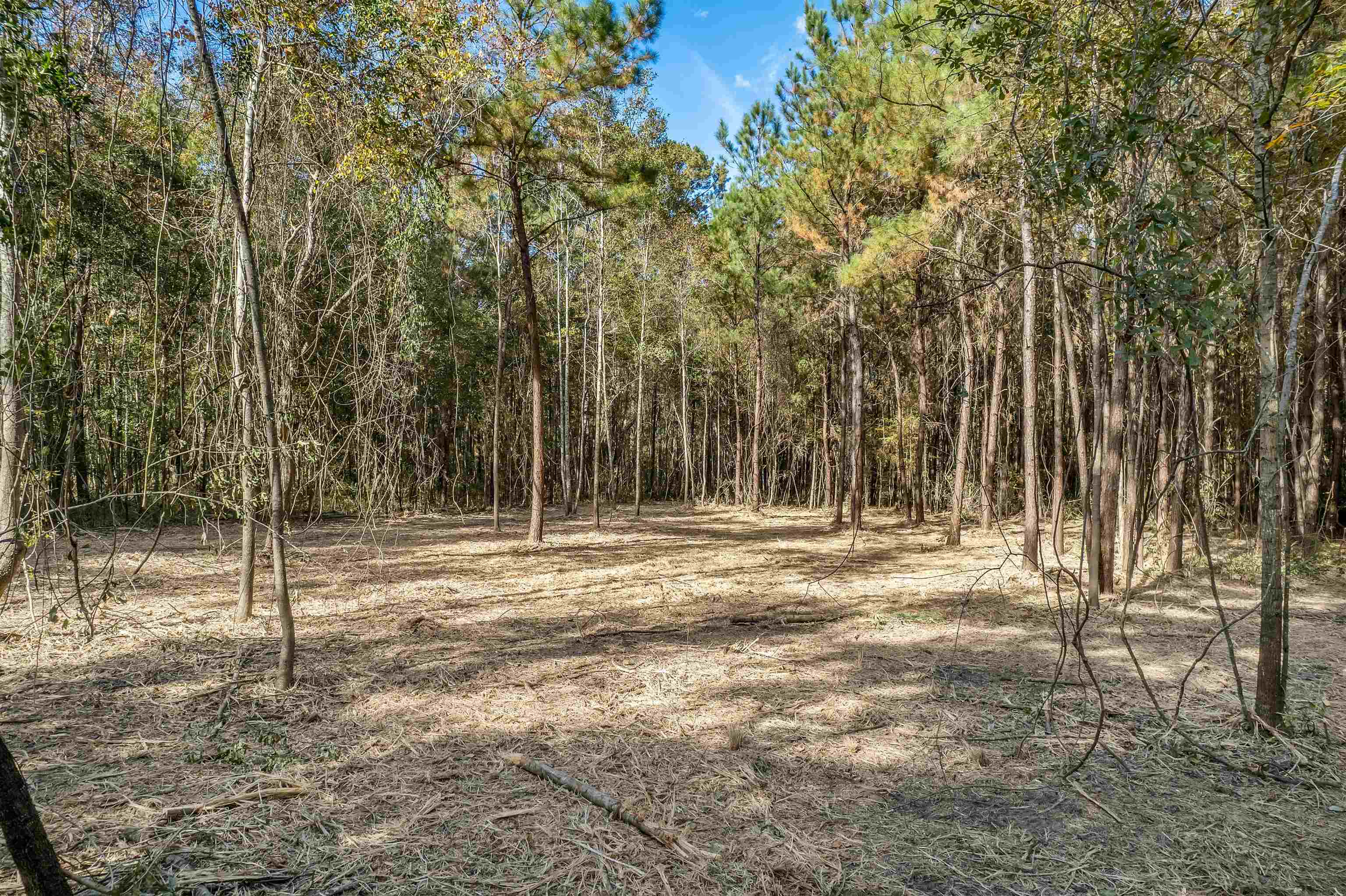 Xx White House Road Monticello, FL 32344 - Photo 21 of 24 Gallery Image 21
