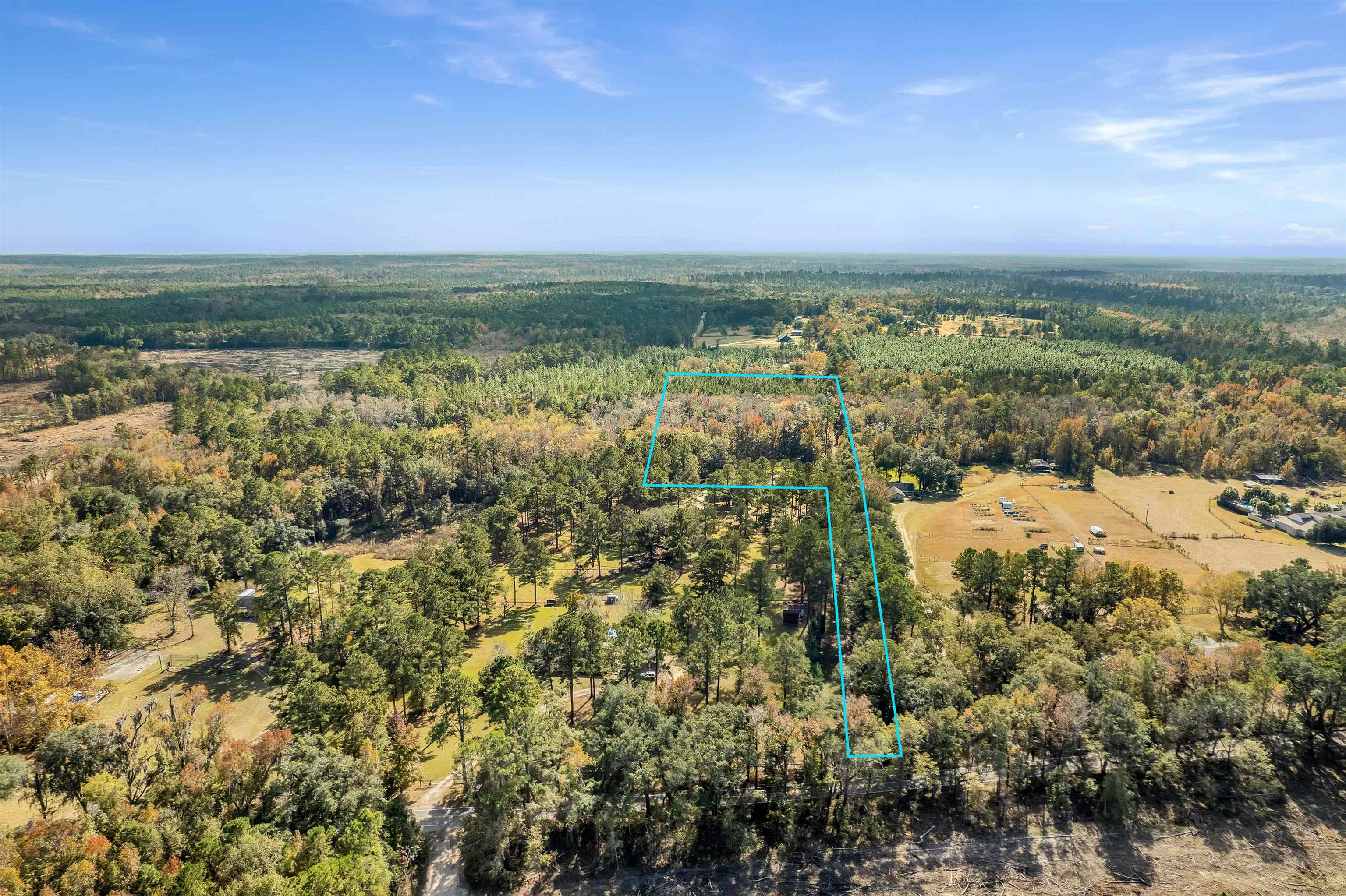 Xx White House Road Monticello, FL 32344 - Photo 8 of 24 Gallery Image 8