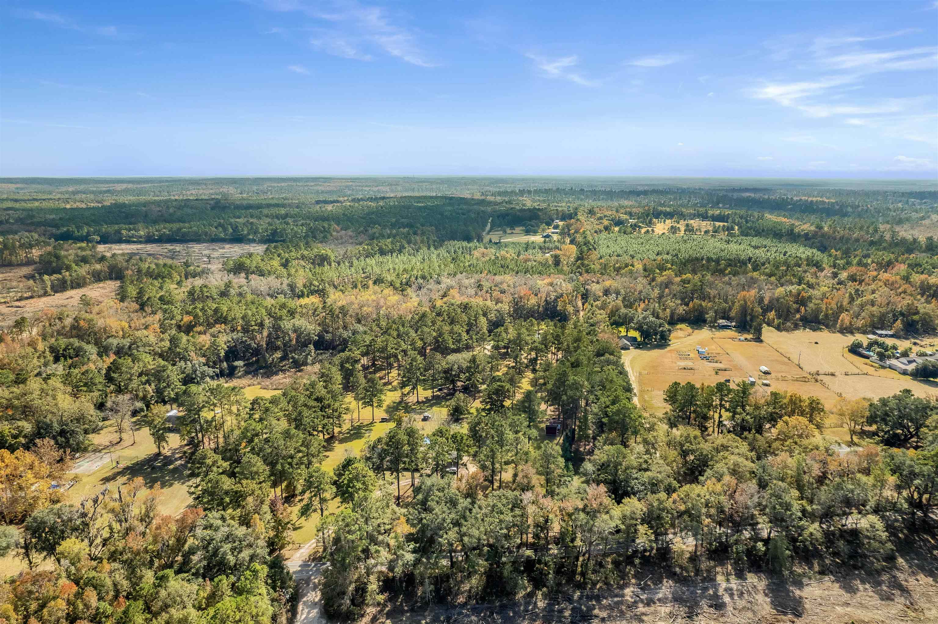 Xx White House Road Monticello, FL 32344 - Photo 9 of 24 Gallery Image 9