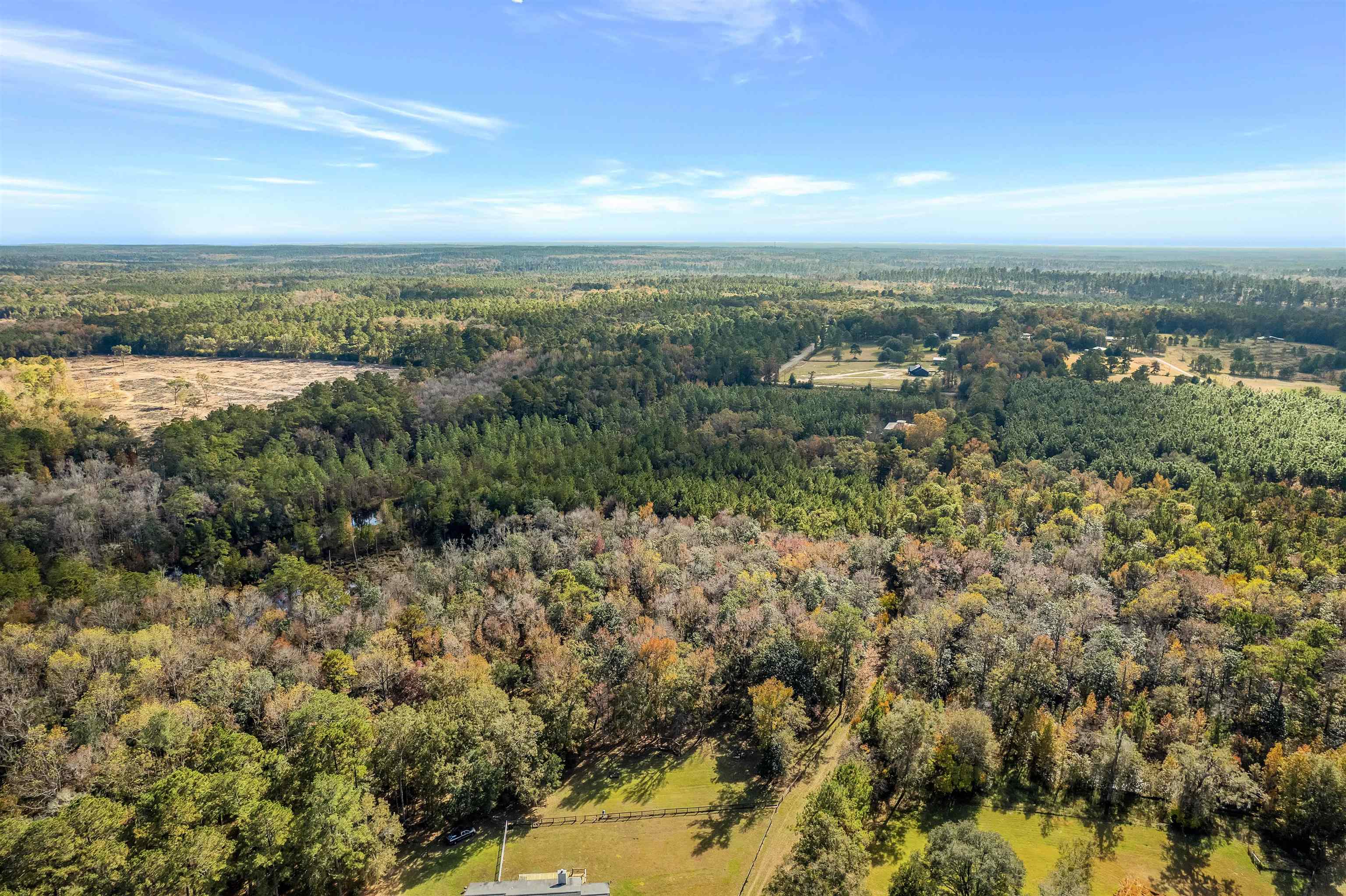 Xx White House Road Monticello, FL 32344 - Photo 10 of 24 Gallery Image 10