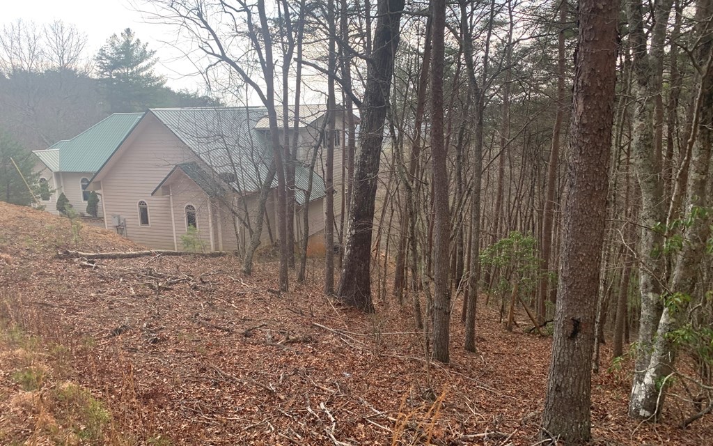 Lot20 Wolf Ridge Lane Murphy, NC 28906 - Photo 2 of 17 Additional View