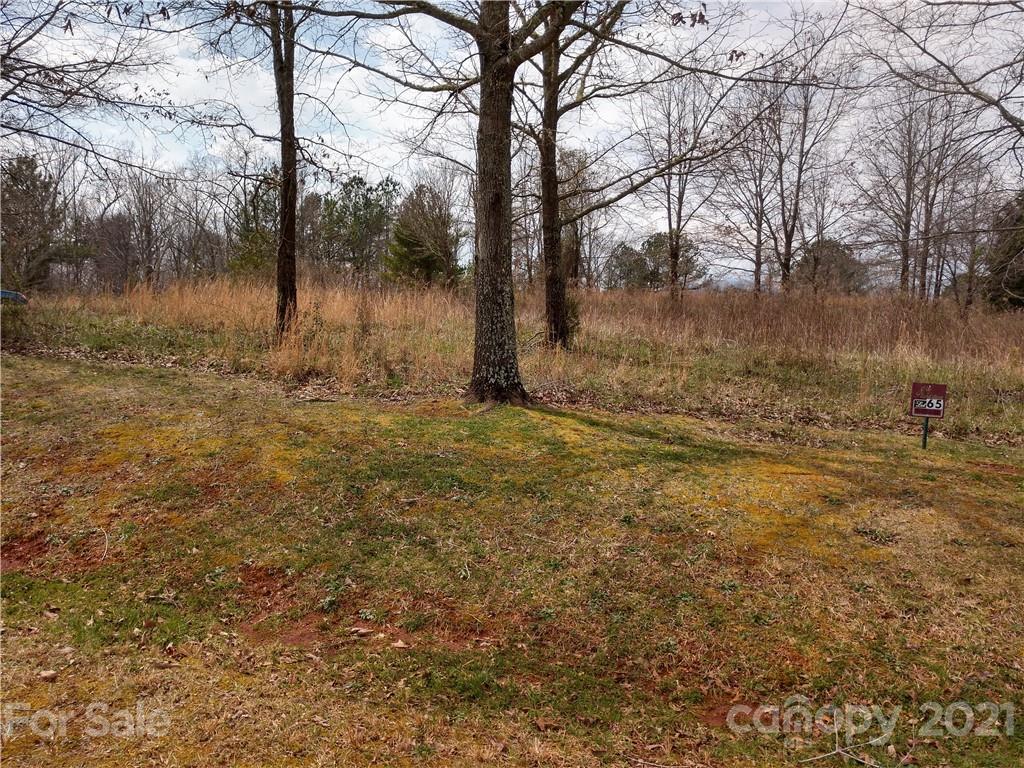 0 Summer View, Unit 65 Rutherfordton, NC 28139 - Photo 2 of 9 a view of a yard