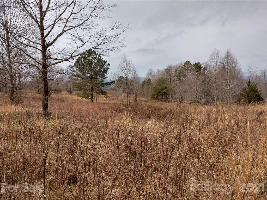 0 Summer View, Unit 65 Rutherfordton, NC 28139 - Photo 6 of 9 a view of a yard with a tree