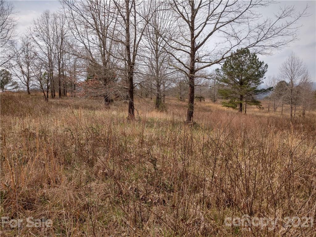 0 Summer View, Unit 65 Rutherfordton, NC 28139 - Photo 7 of 9