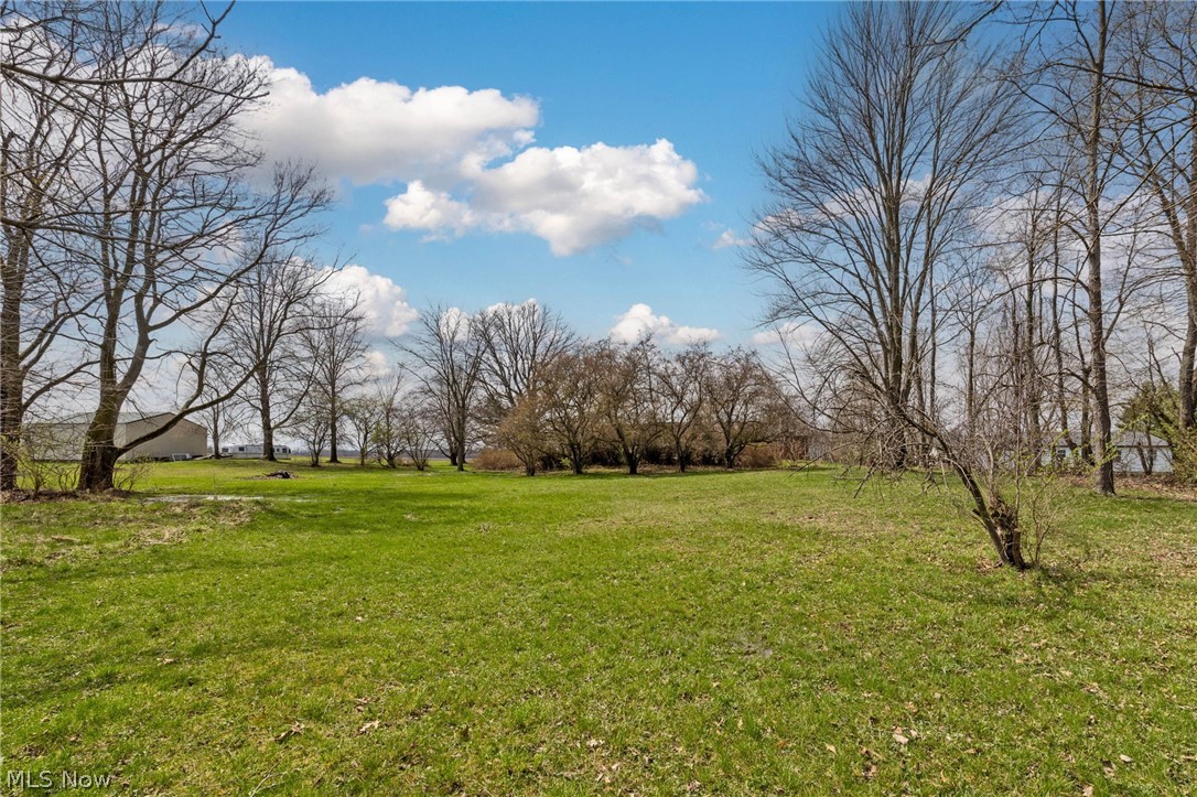 2554 Dry Lane Road North La Rue, OH 43332 - Photo 42 of 48