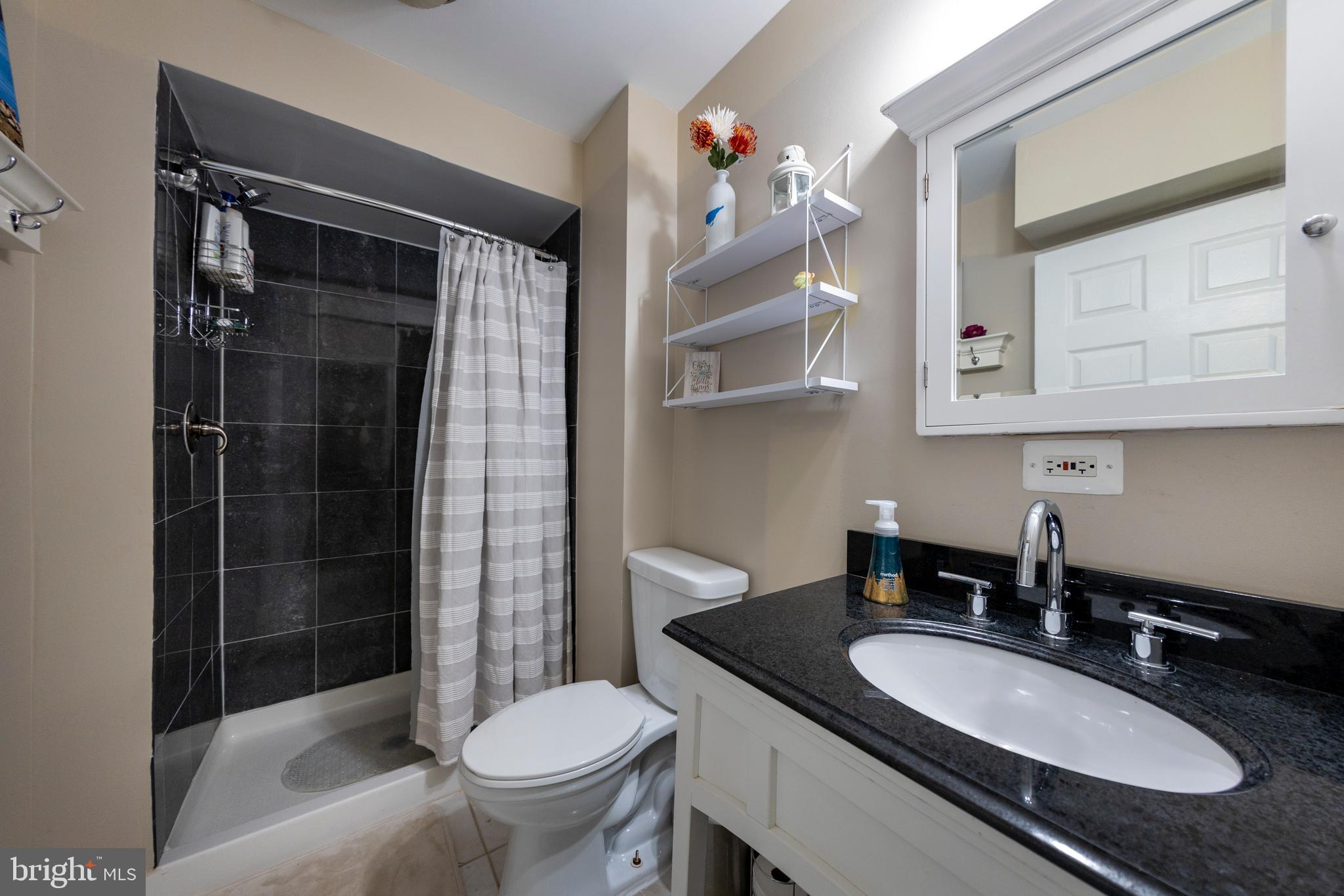 2513 Farrier Lane Reston, VA 20191 - Photo 37 of 51 Full Bathroom in Basement