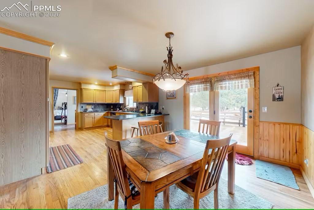 143 Ring Road Guffey, CO 80820 - Photo 9 of 36 Dining area featuring light wood-type flooring, wood walls, and a wainscoted wall