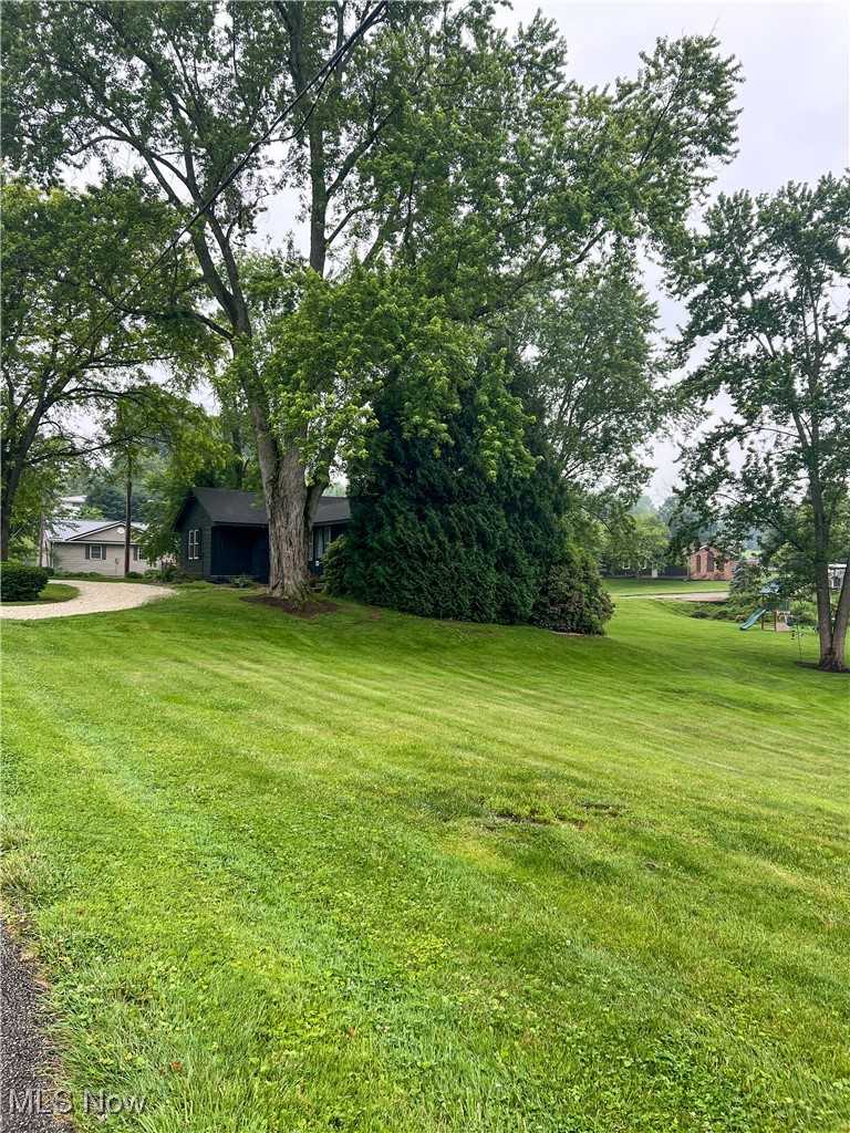 232 Hoffman Road Loudonville, OH 44842 - Photo 18 of 28 View of green lawn