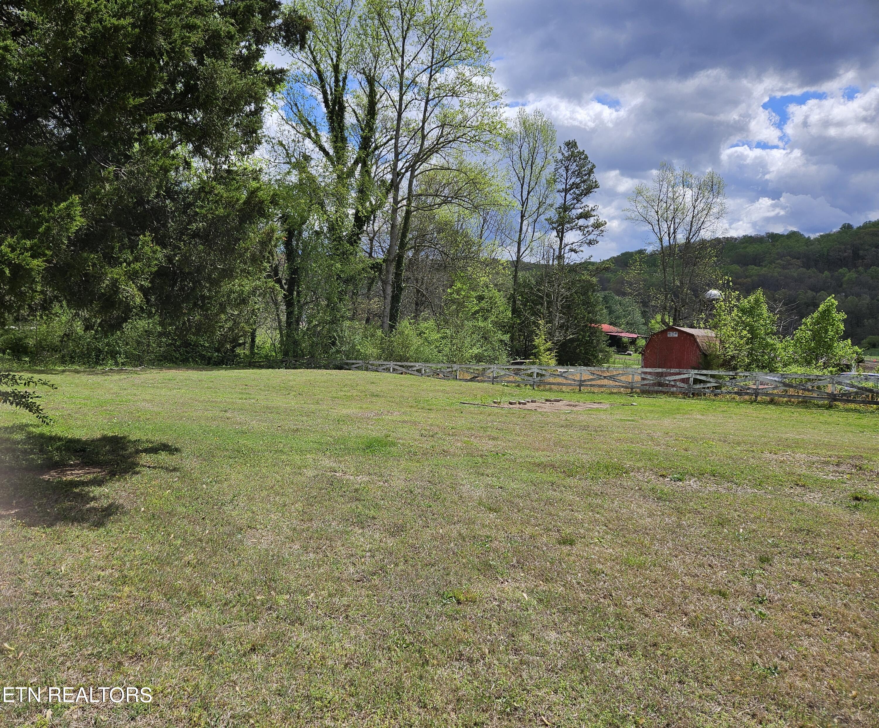 275 Ollis Road Oliver Springs, TN 37840 - Photo 17 of 26 Beautiful Yard!