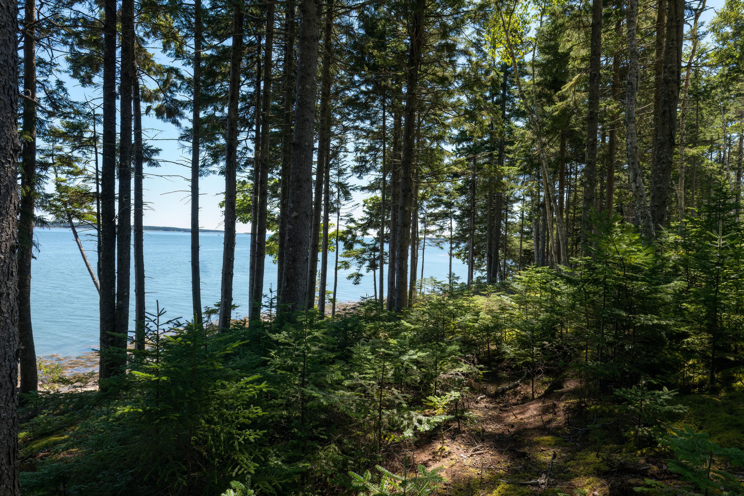 45 Peninsula Shores Road Corea, ME 04624 - Photo 34 of 35 47 - Lot 10 Shore Acres HiRes - DTP