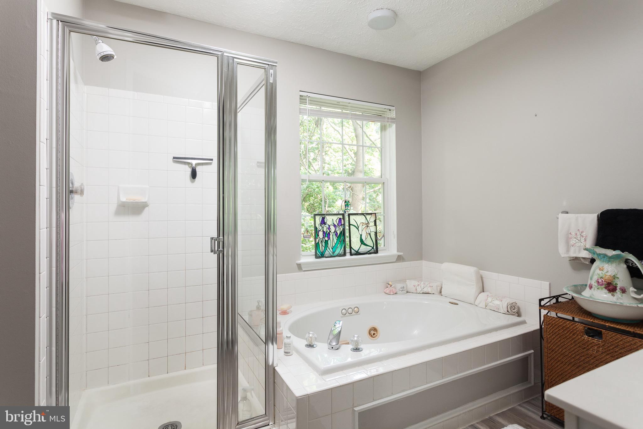217 Point To Point Square Bel Air, MD 21015 - Photo 21 of 32 Master Bath