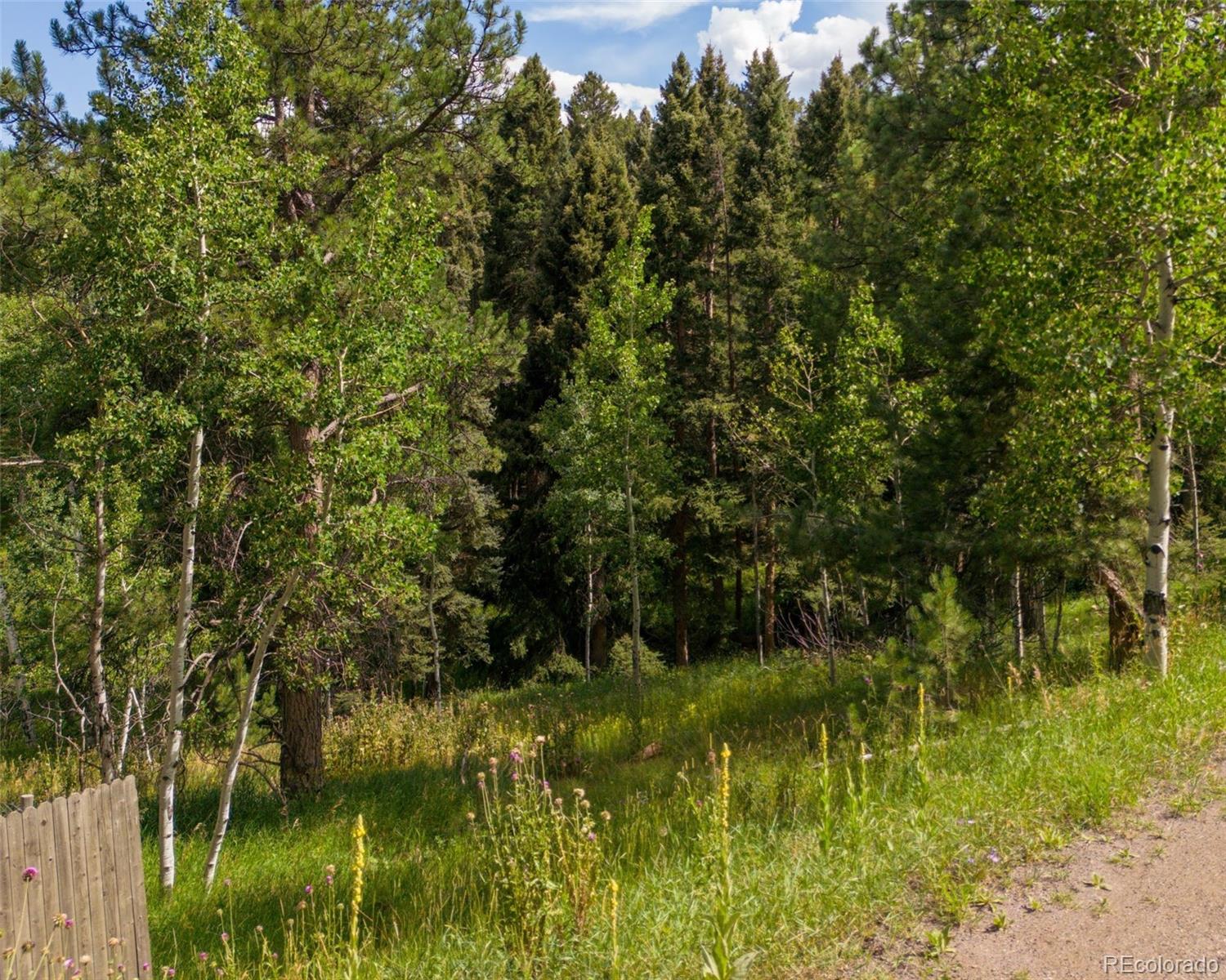 a view of a lake in a forest