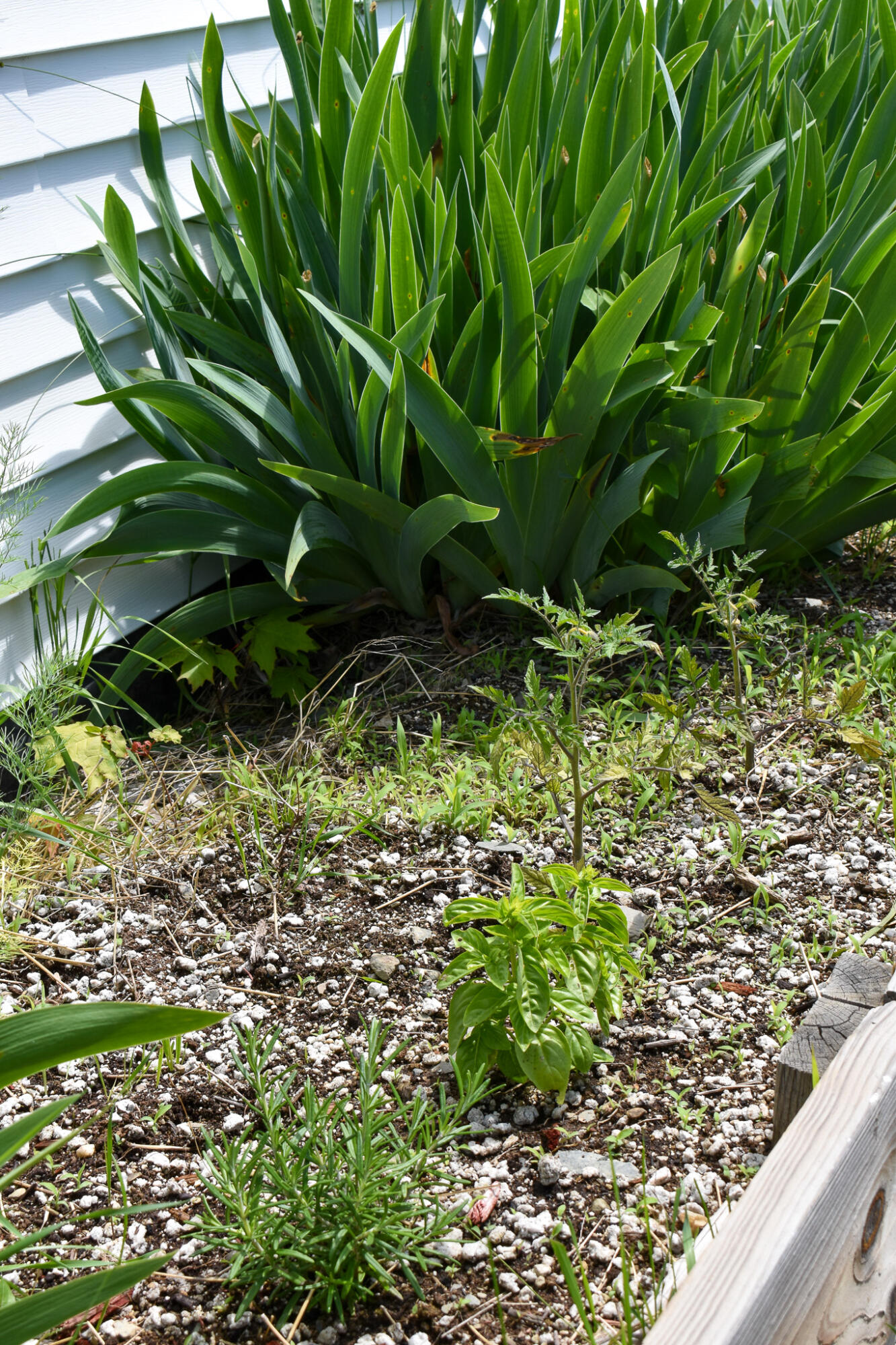 22 2nd Street Milo, ME 04463 - Photo 5 of 42 DSC_0343