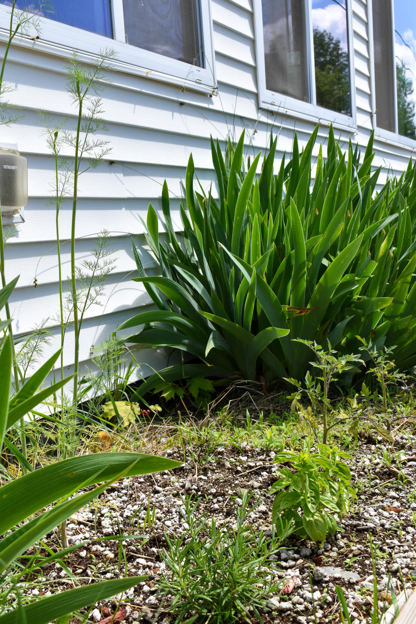 22 2nd Street Milo, ME 04463 - Photo 6 of 42 DSC_0344