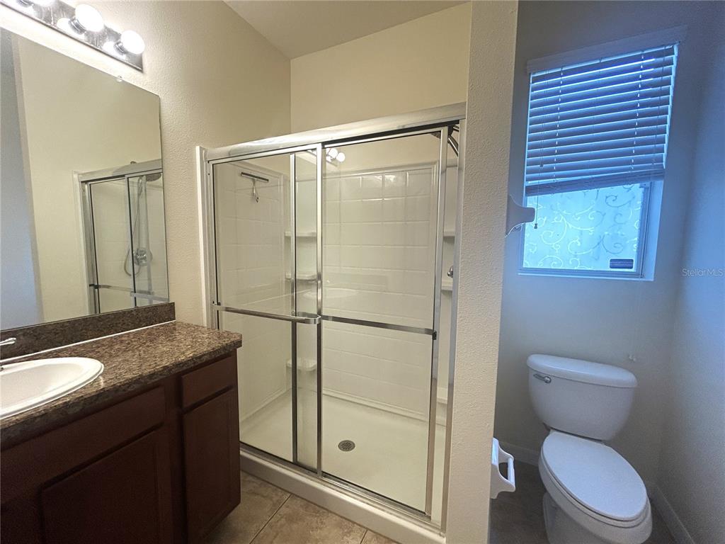 10702 Burning Bush Terrace Land O Lakes, FL 34638 - Photo 20 of 22 a bathroom with a granite countertop sink toilet and shower