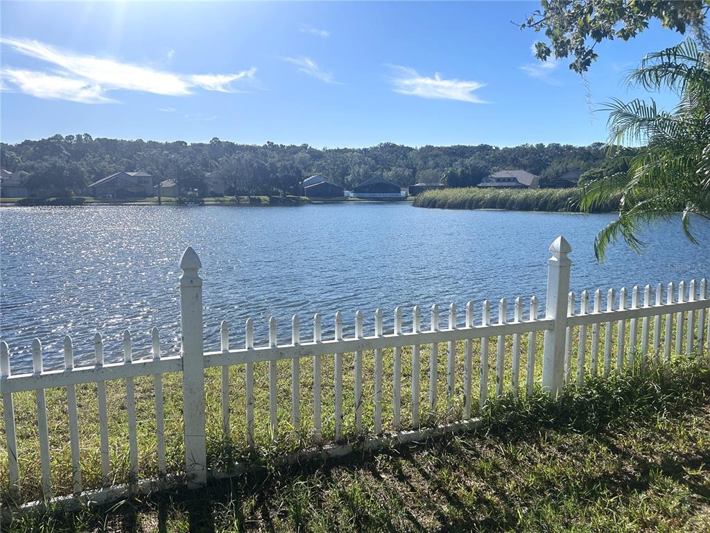 10702 Burning Bush Terrace Land O Lakes, FL 34638 - Photo 7 of 22 a view of a lake with a mountain in the background